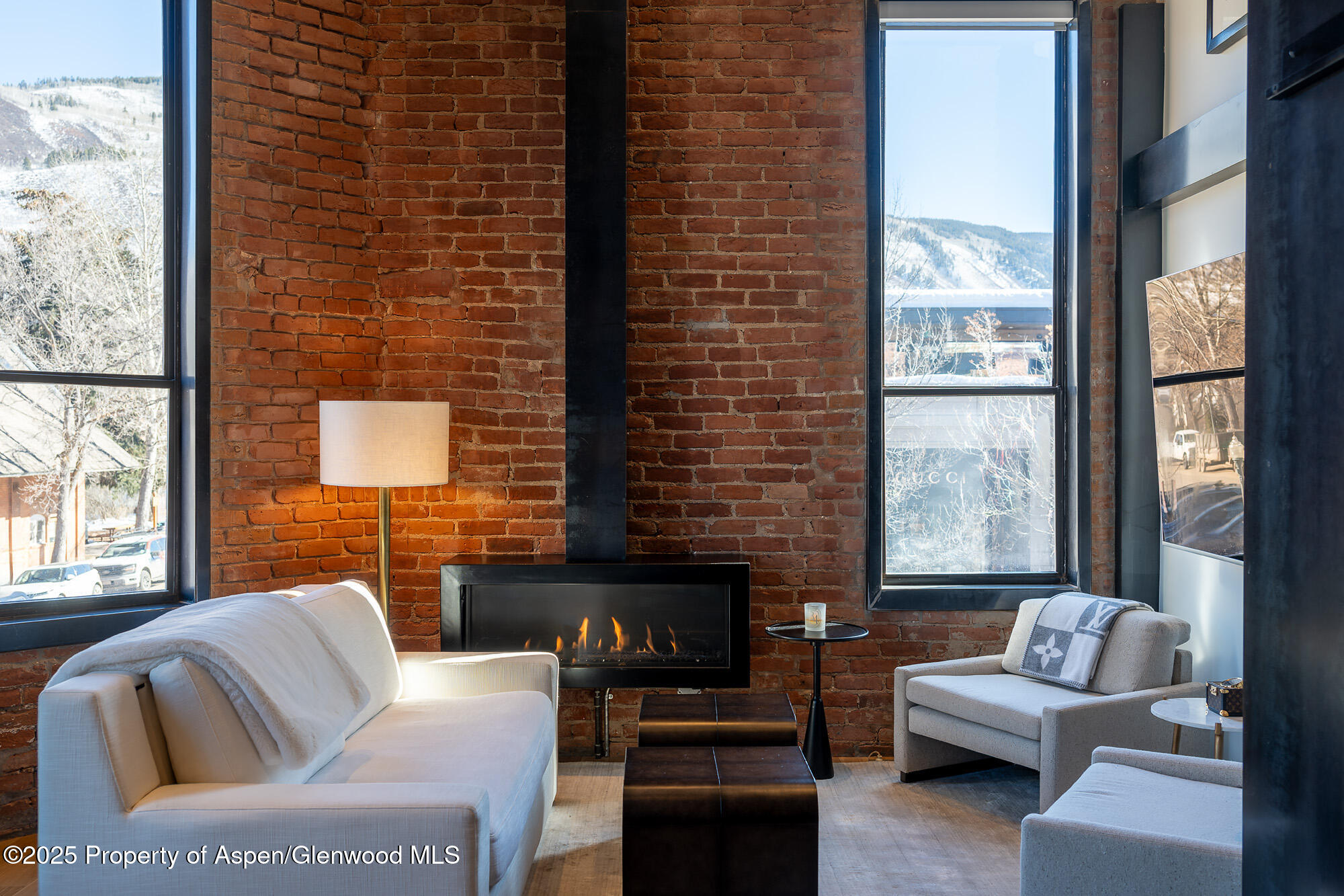 205 S Galena Street Aspen CO 81611