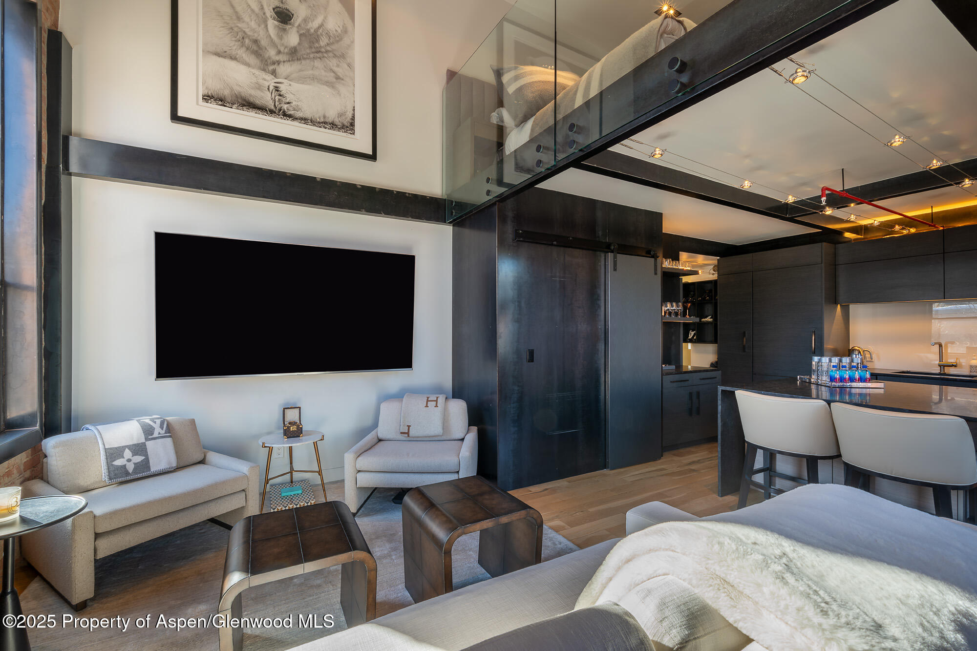 205 S Galena Street Aspen CO 81611