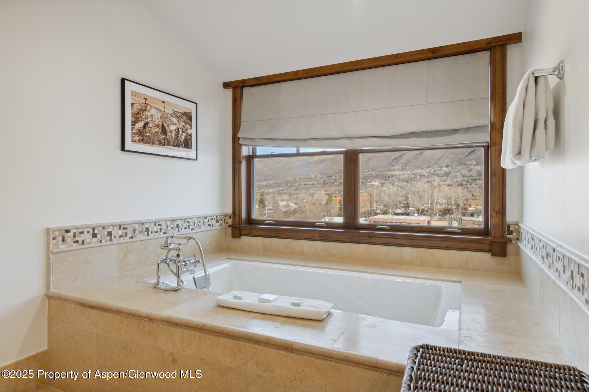 415 E Dean Street, Unit 46, Week 34 Aspen CO 81611