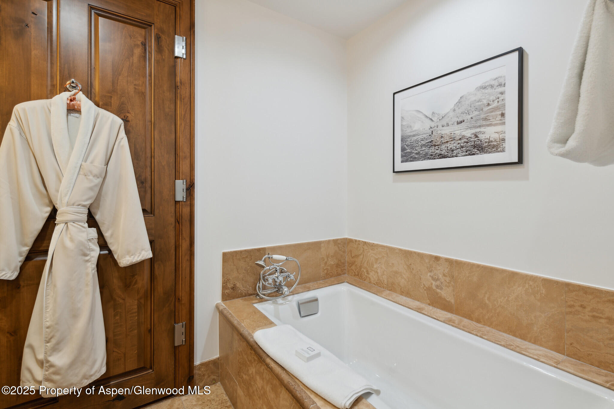 415 E Dean Street, Unit 46, Week 34 Aspen CO 81611