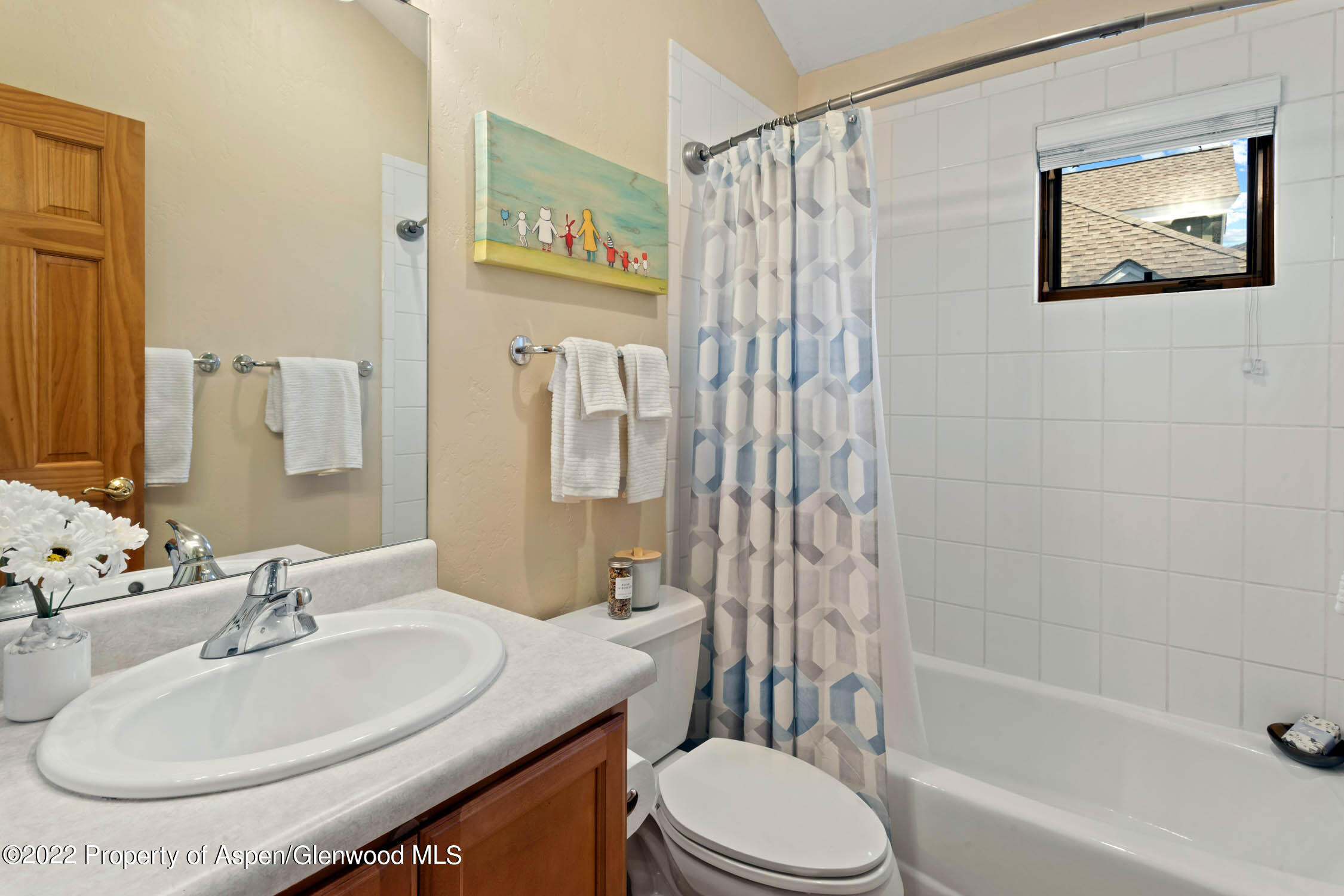 283 Southside Drive Basalt CO 81621