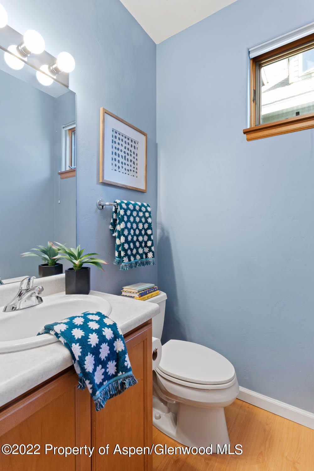283 Southside Drive Basalt CO 81621