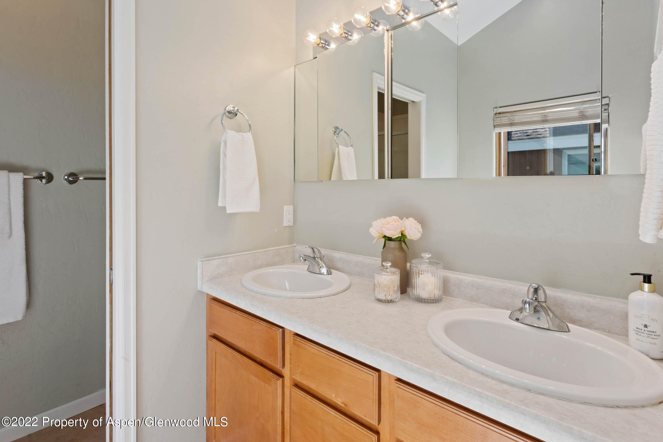 283 Southside Drive Basalt CO 81621