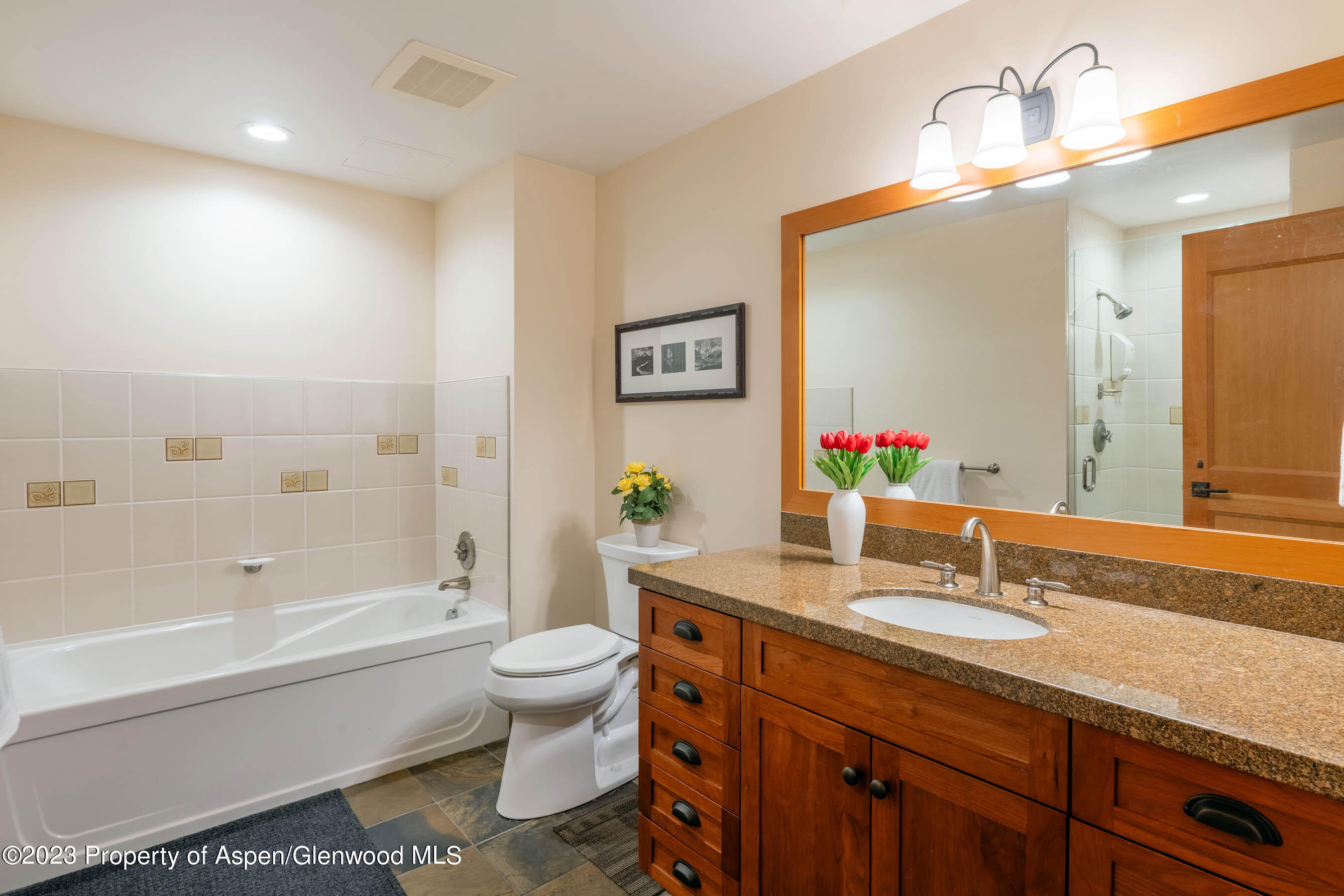 110 Carriage Way Snowmass Village CO 81615
