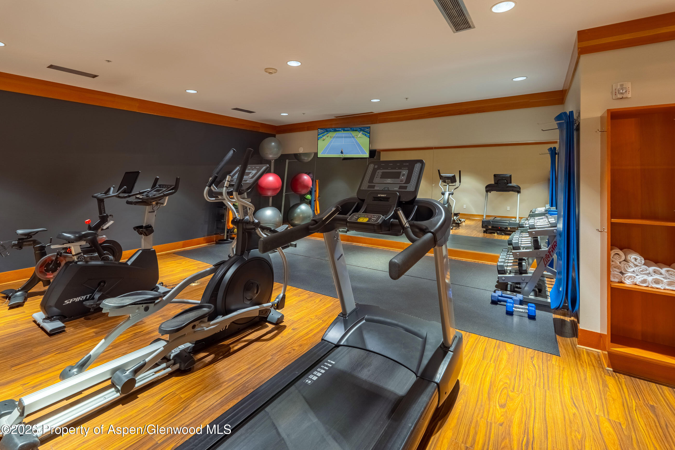 110 Carriage Way Snowmass Village CO 81615