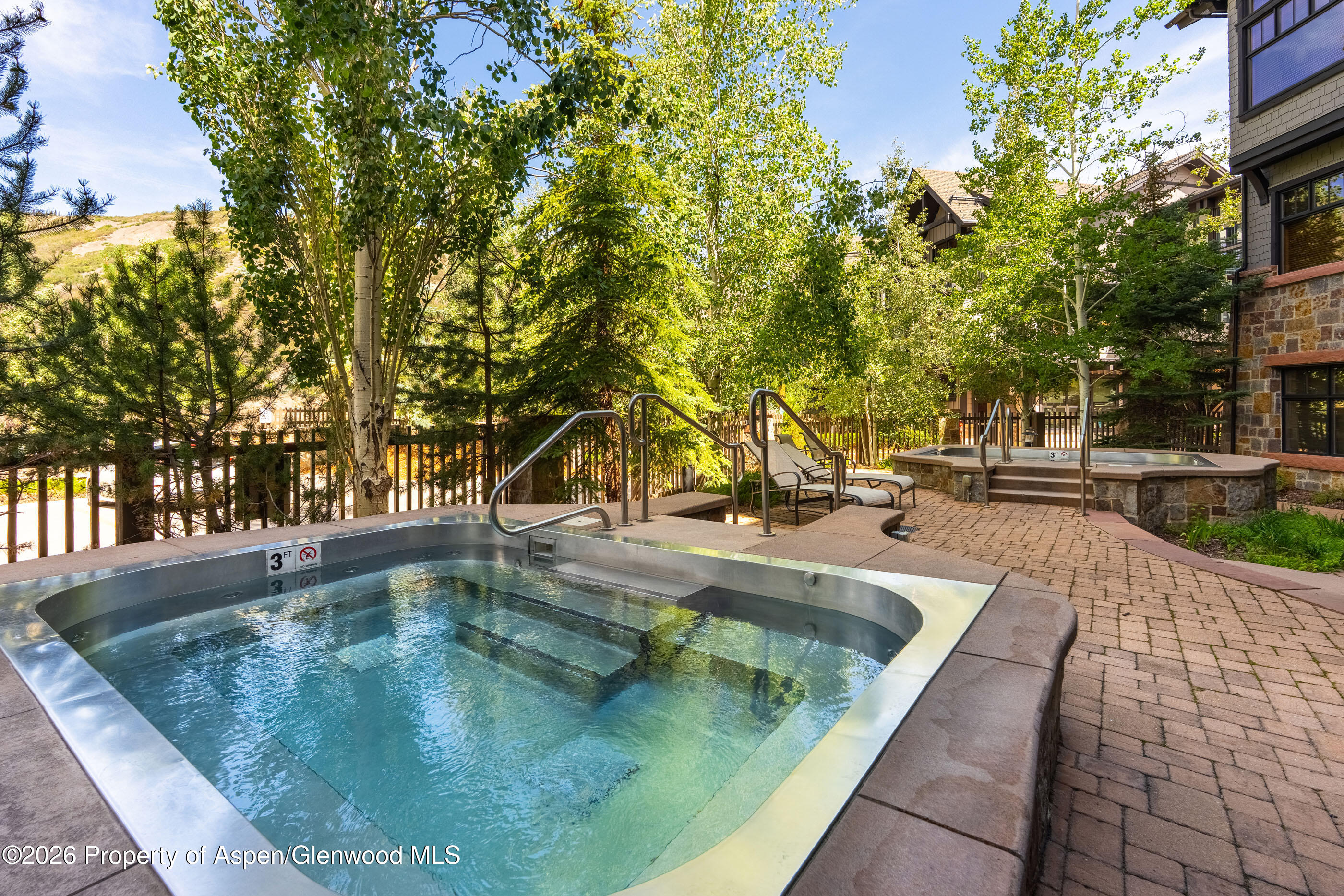 110 Carriage Way Snowmass Village CO 81615
