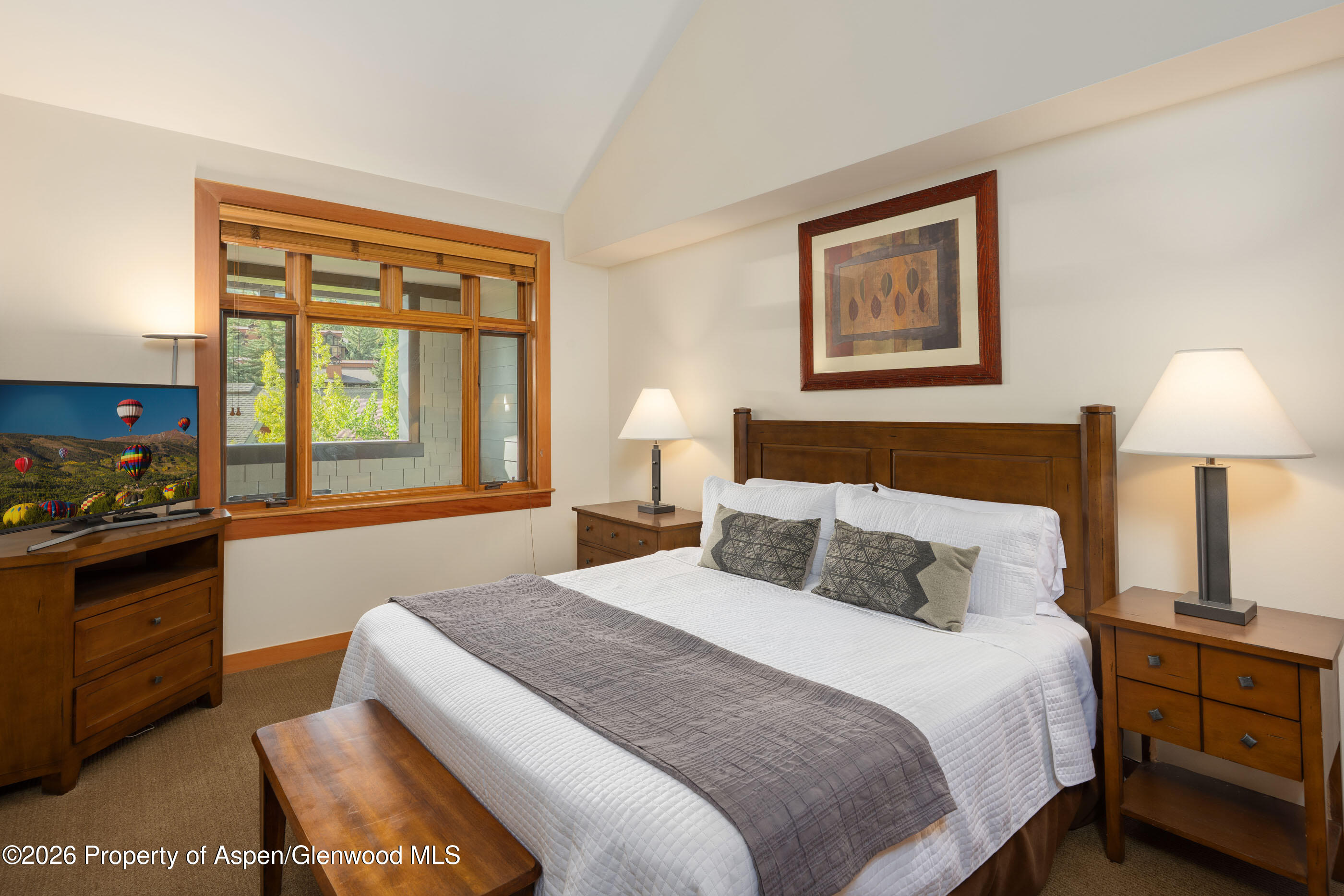 110 Carriage Way Snowmass Village CO 81615
