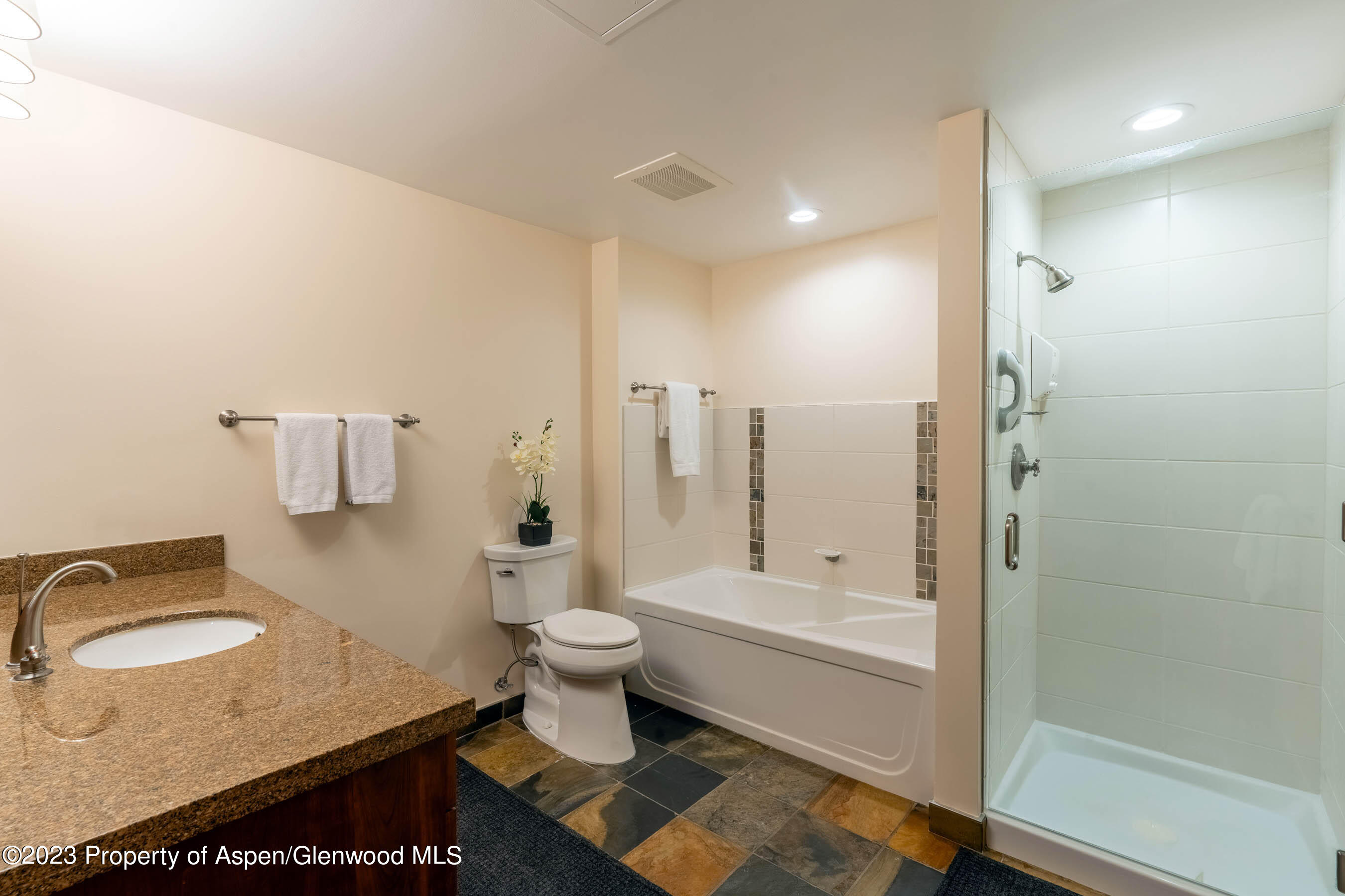 110 Carriage Way Snowmass Village CO 81615