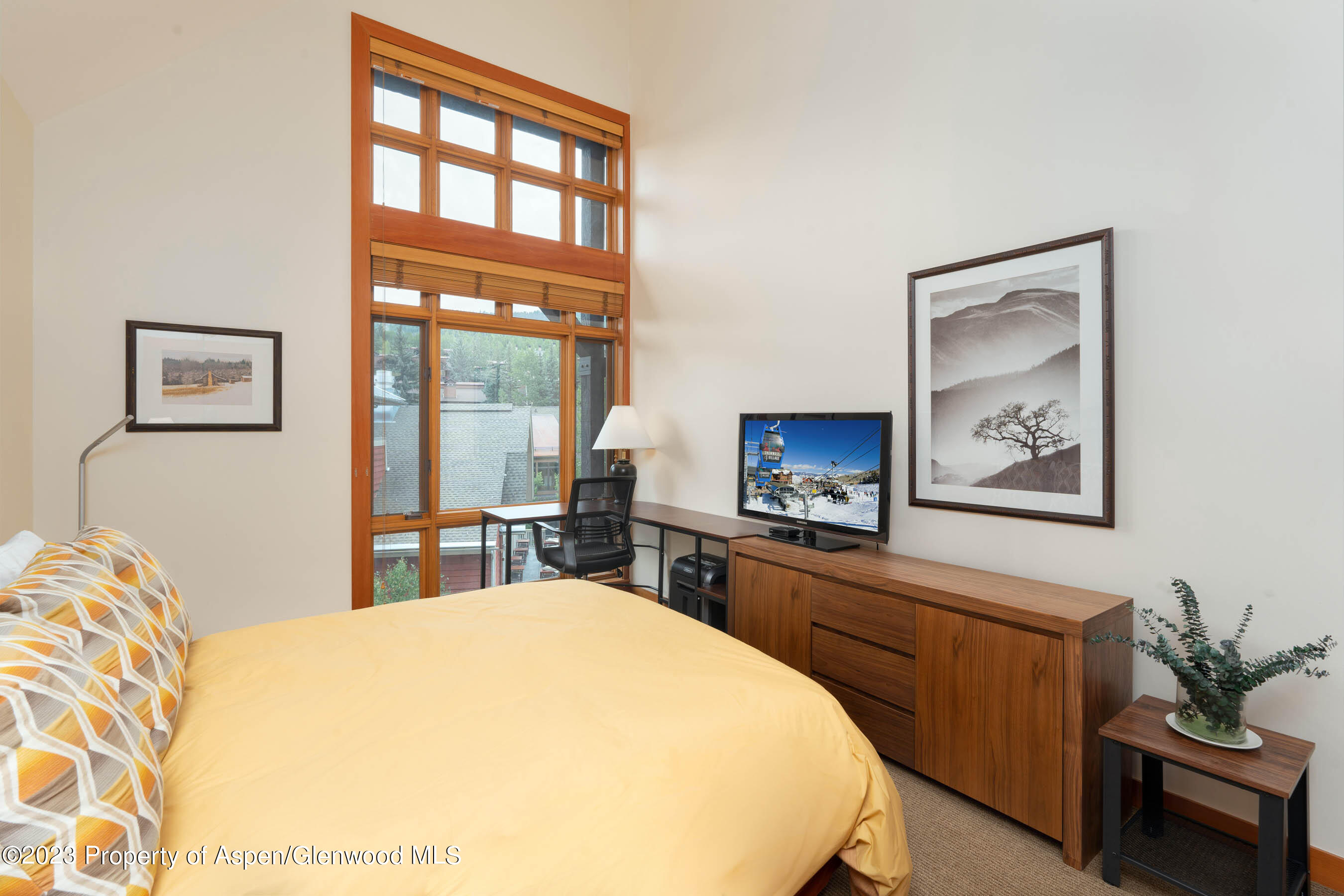 110 Carriage Way Snowmass Village CO 81615