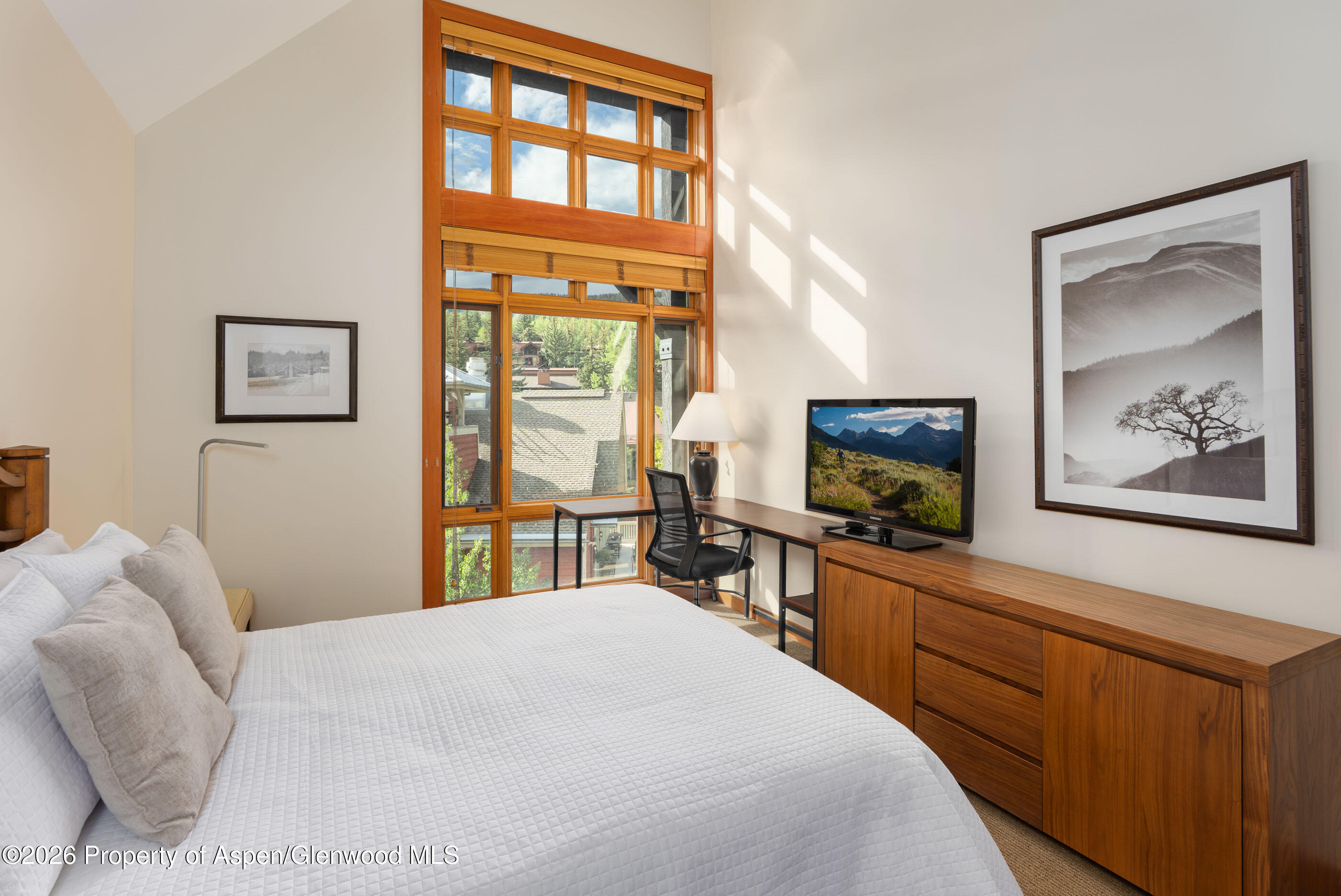 110 Carriage Way Snowmass Village CO 81615