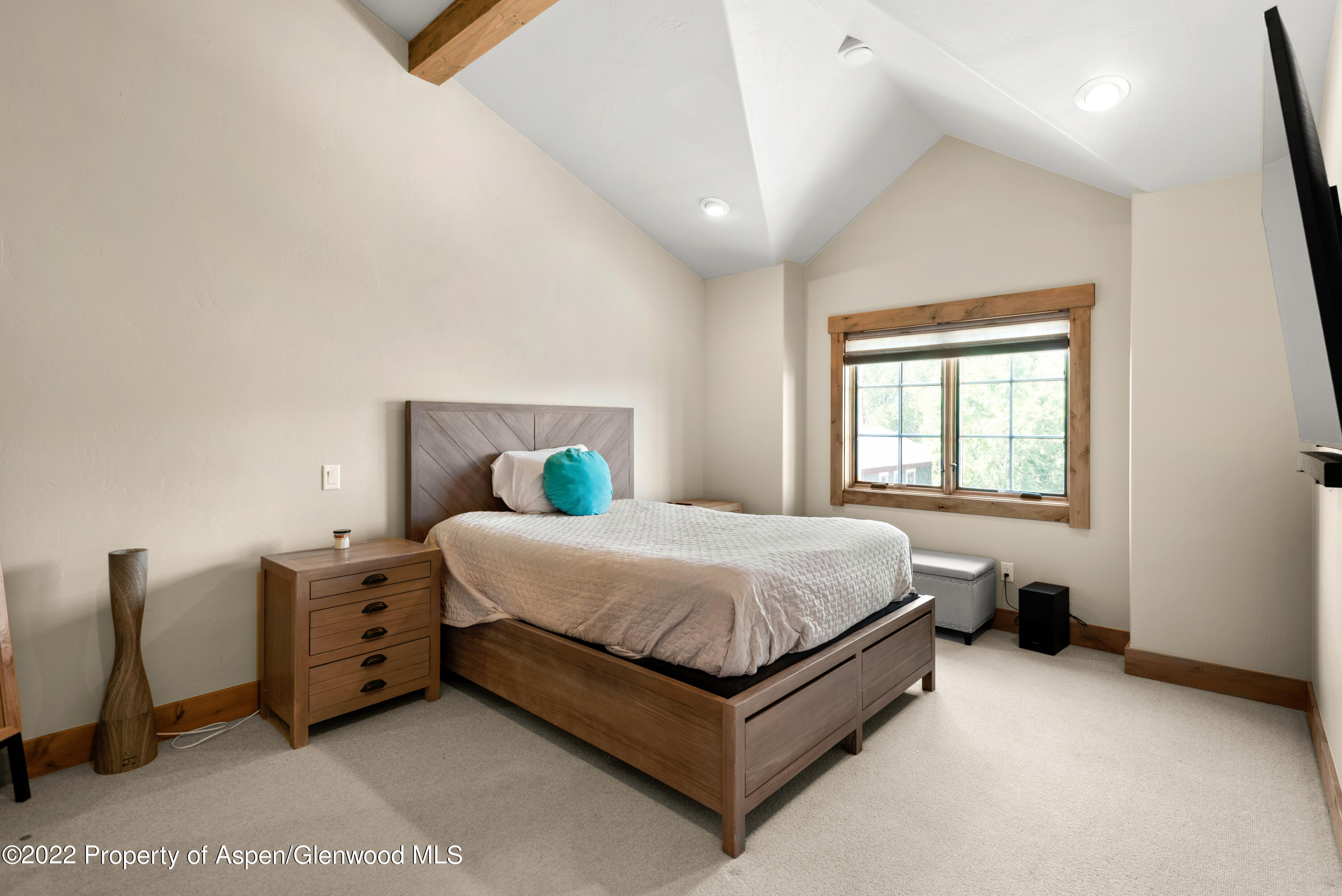 123 Juniper Trail Carbondale CO 81623