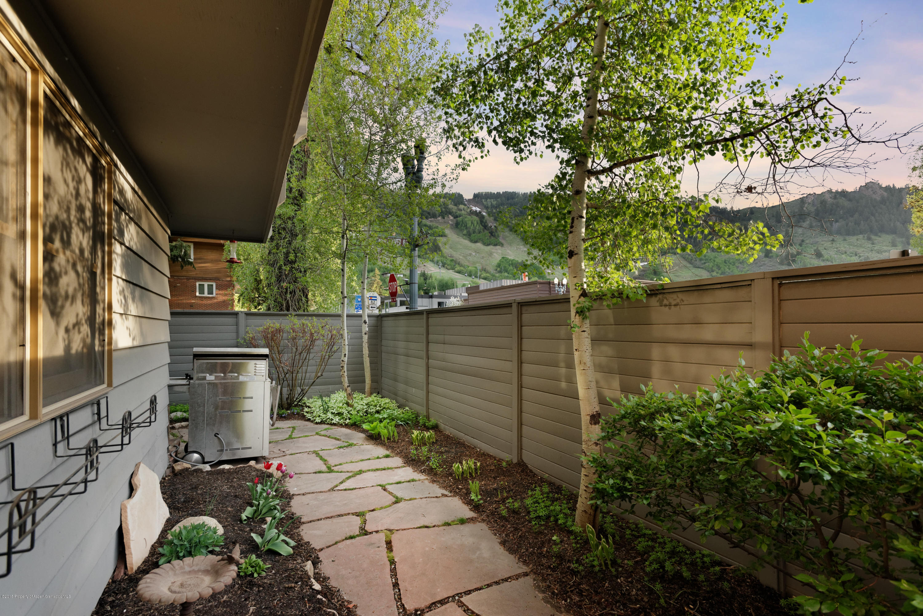 802 E Cooper Avenue Aspen CO 81611