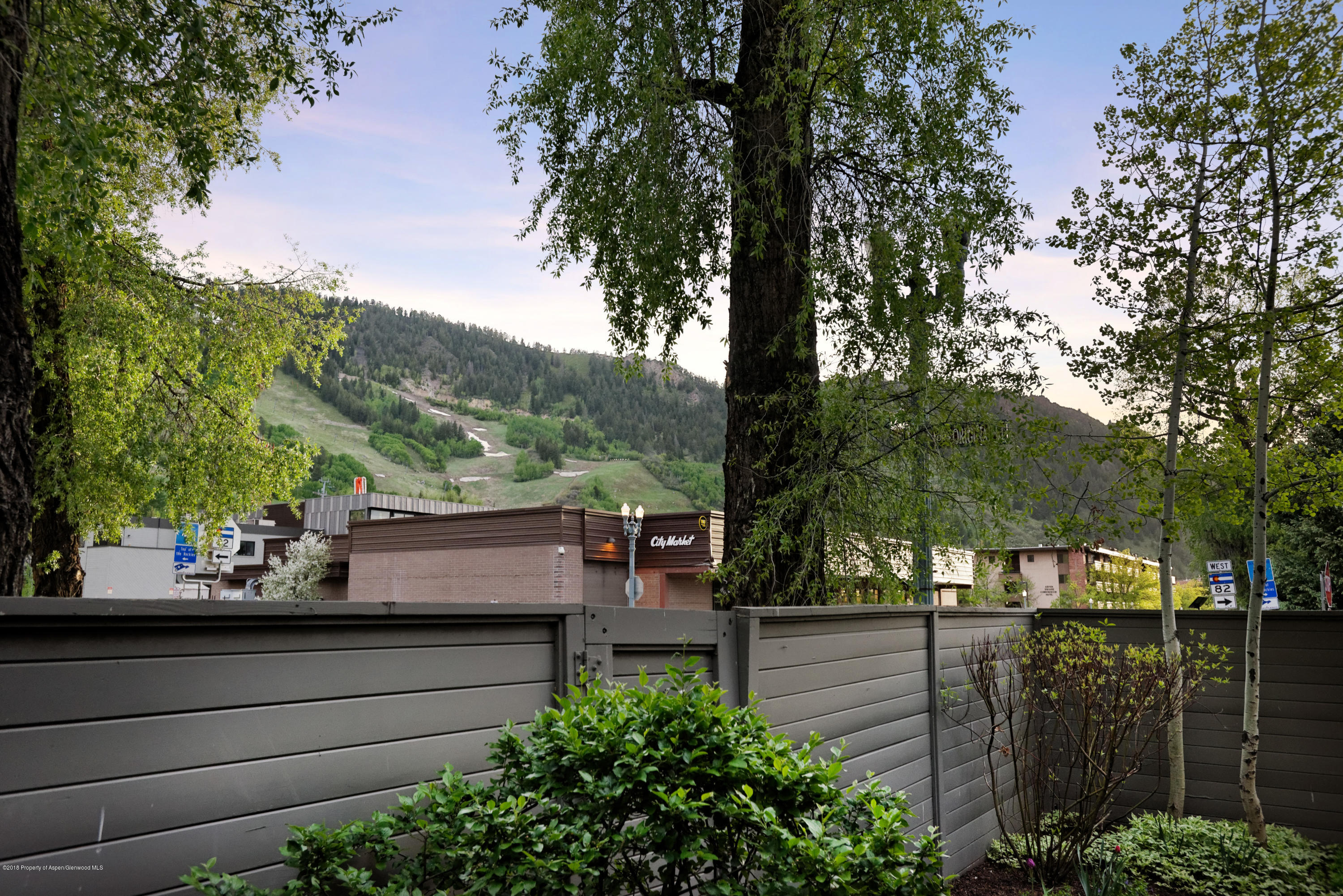 802 E Cooper Avenue Aspen CO 81611