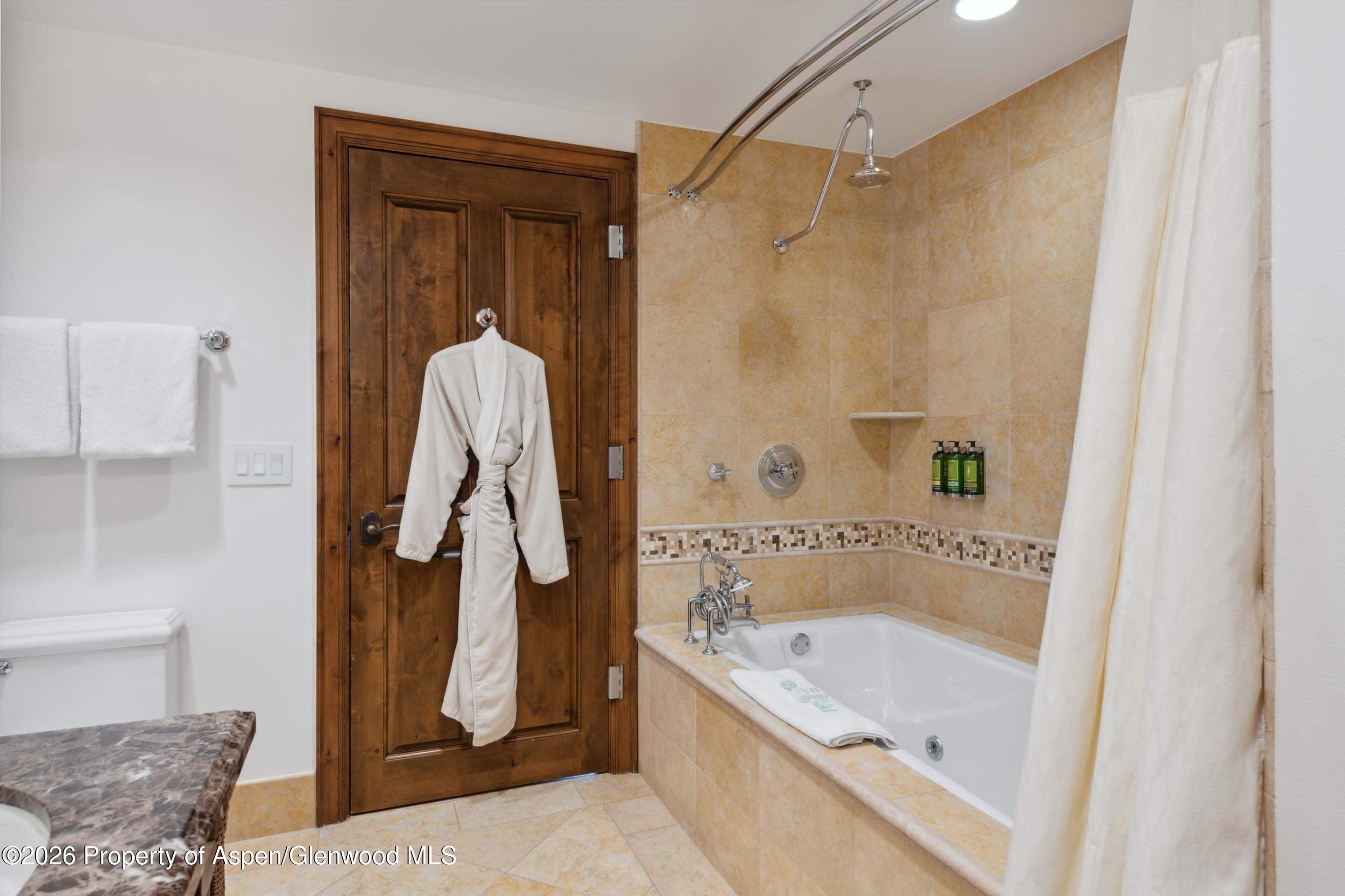 415 E Dean St, Unit 30, Week 10 Aspen CO 81611