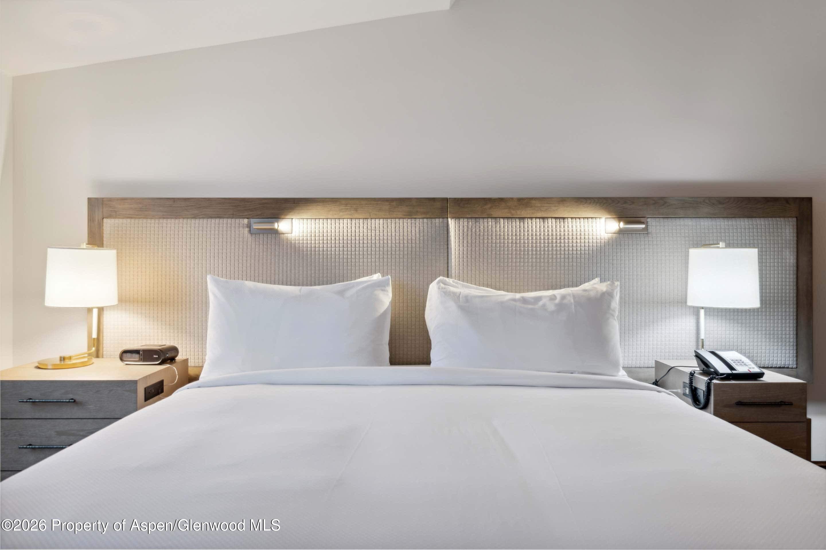 415 E Dean St, Unit 30, Week 10 Aspen CO 81611