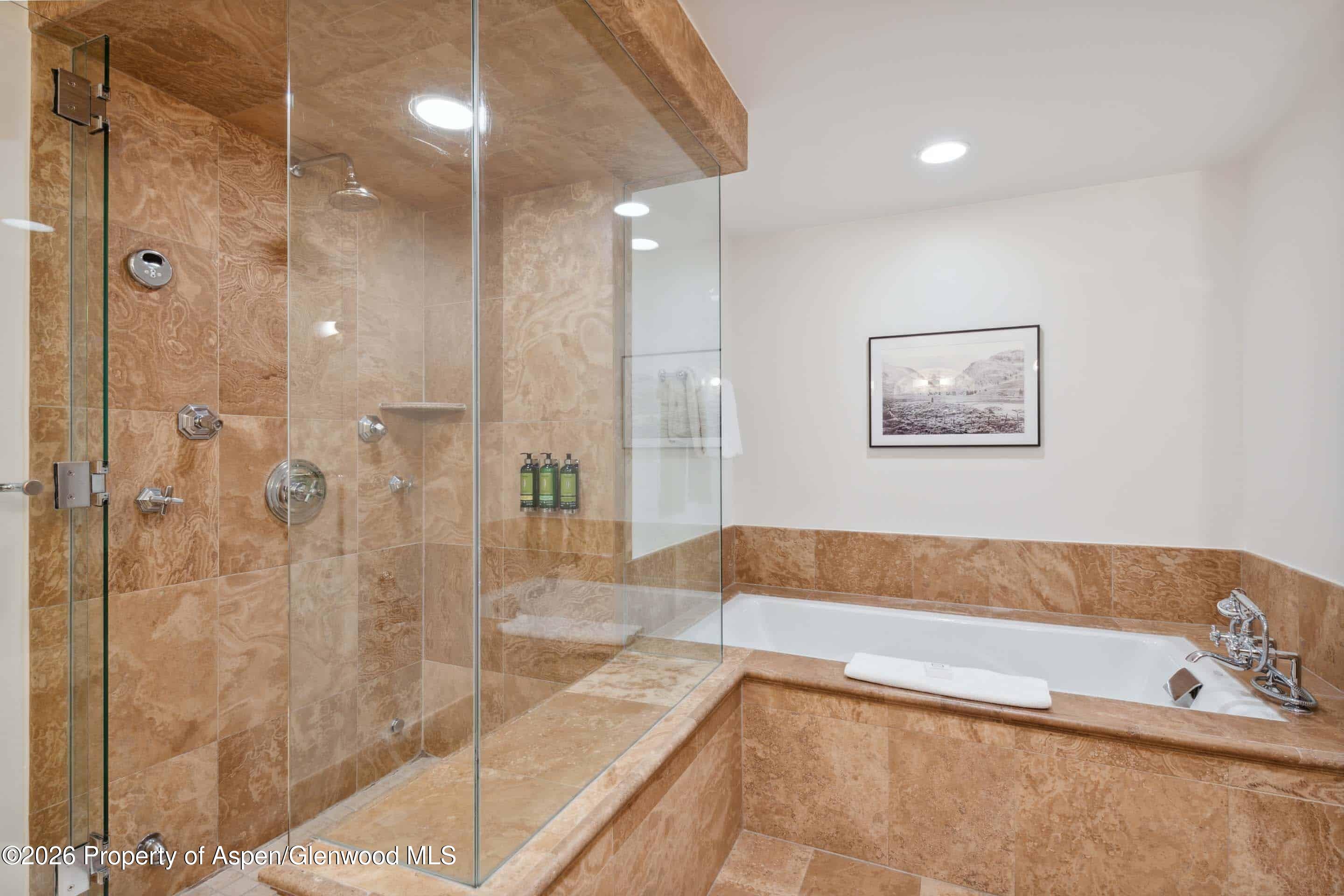 415 E Dean St, Unit 30, Week 10 Aspen CO 81611