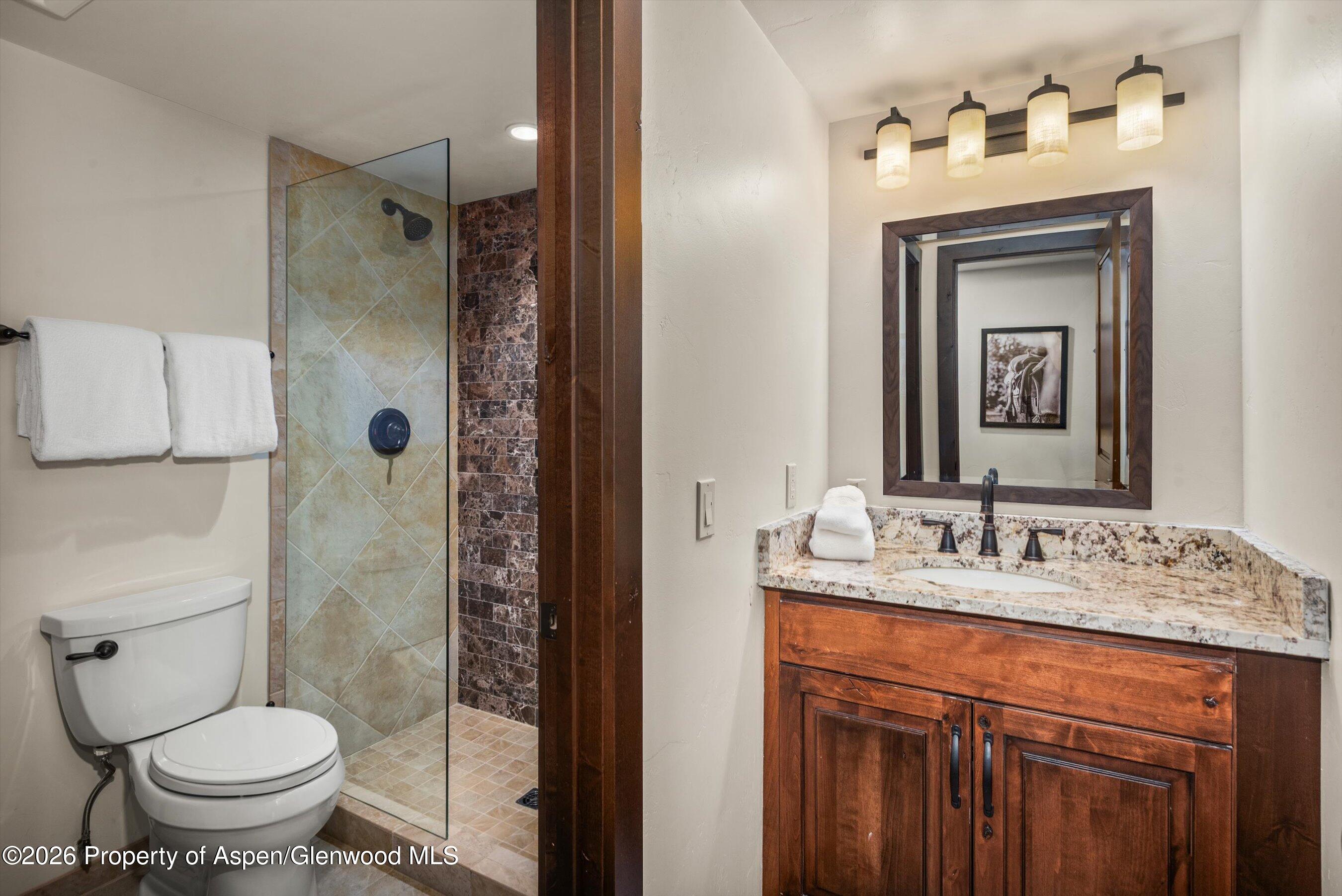 690 Carriage Way Snowmass Village CO 81615
