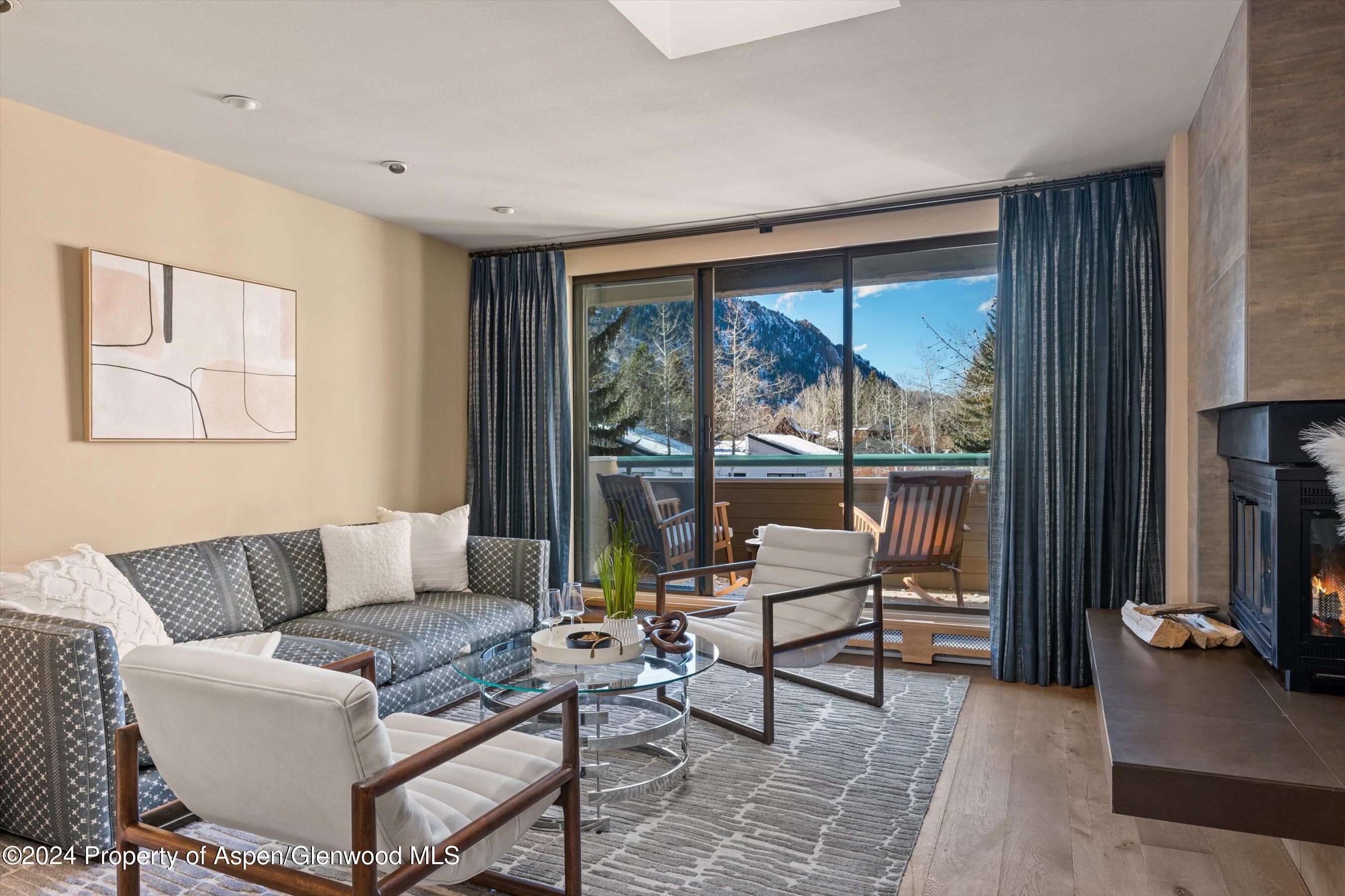 1028 E Hopkins Avenue Aspen CO 81611