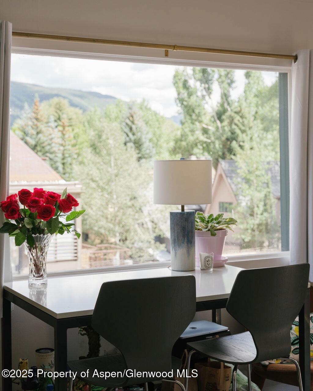 333 W Main Street Aspen CO 81611