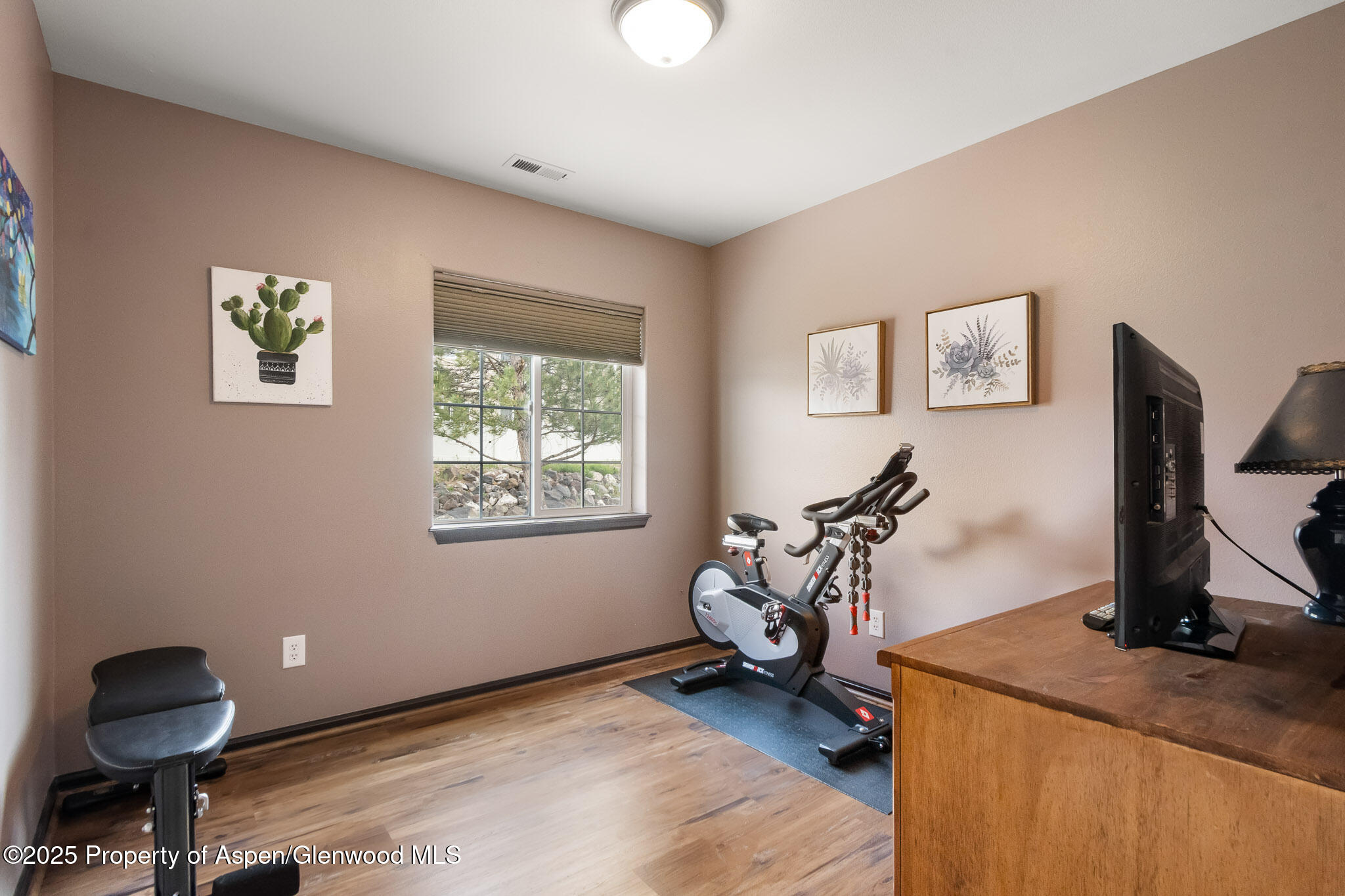 18 Angelica Circle Parachute CO 81635