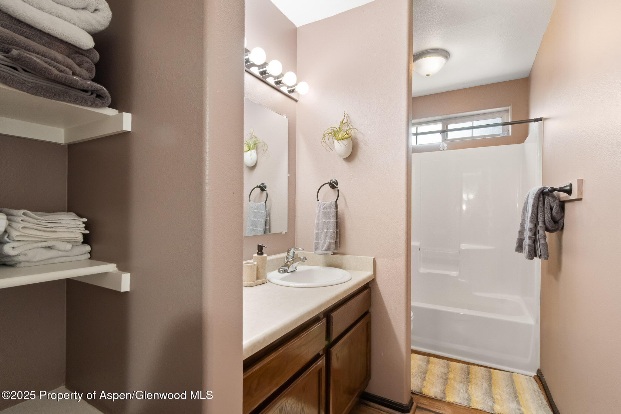 18 Angelica Circle Parachute CO 81635