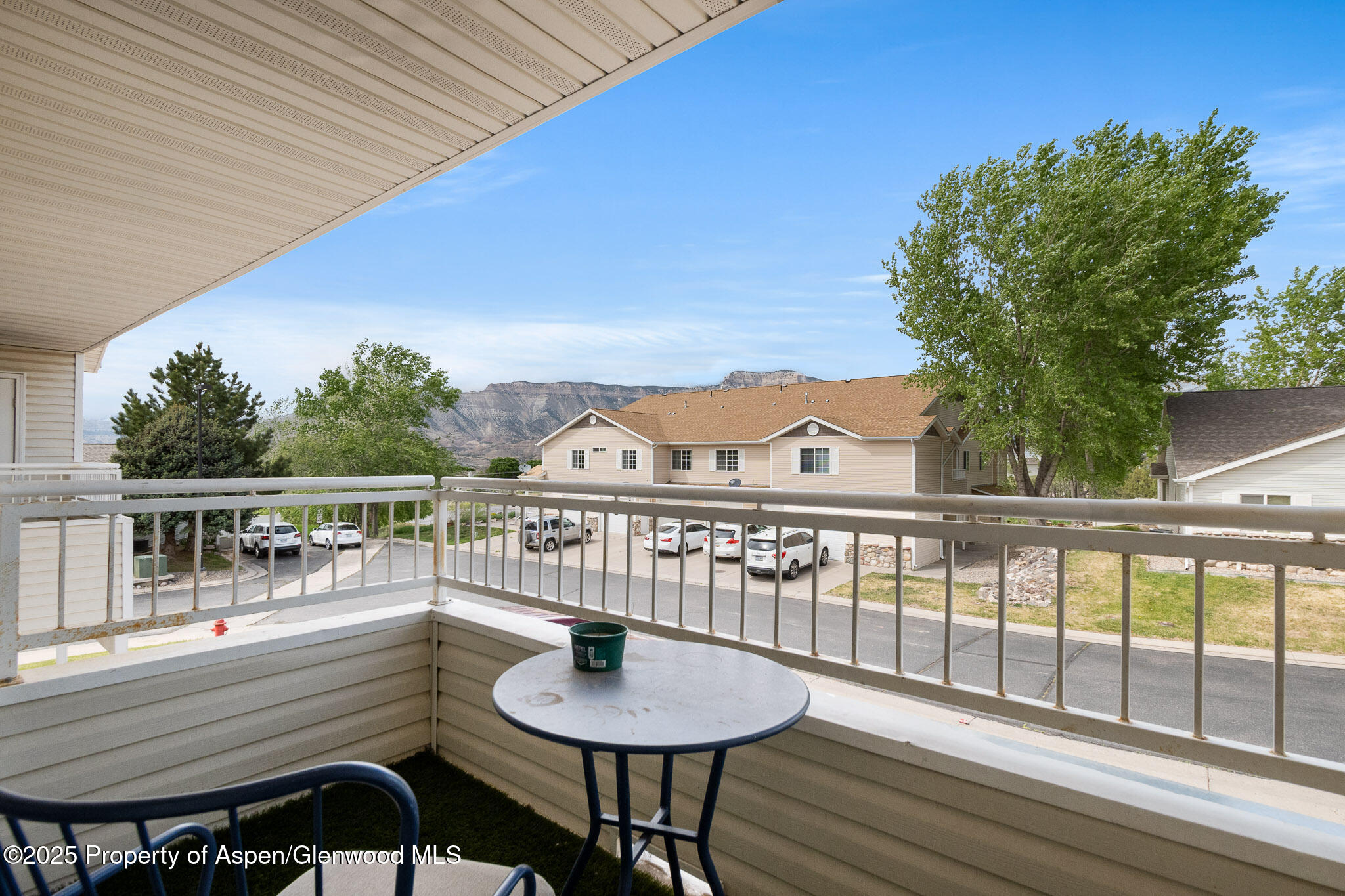 18 Angelica Circle Parachute CO 81635