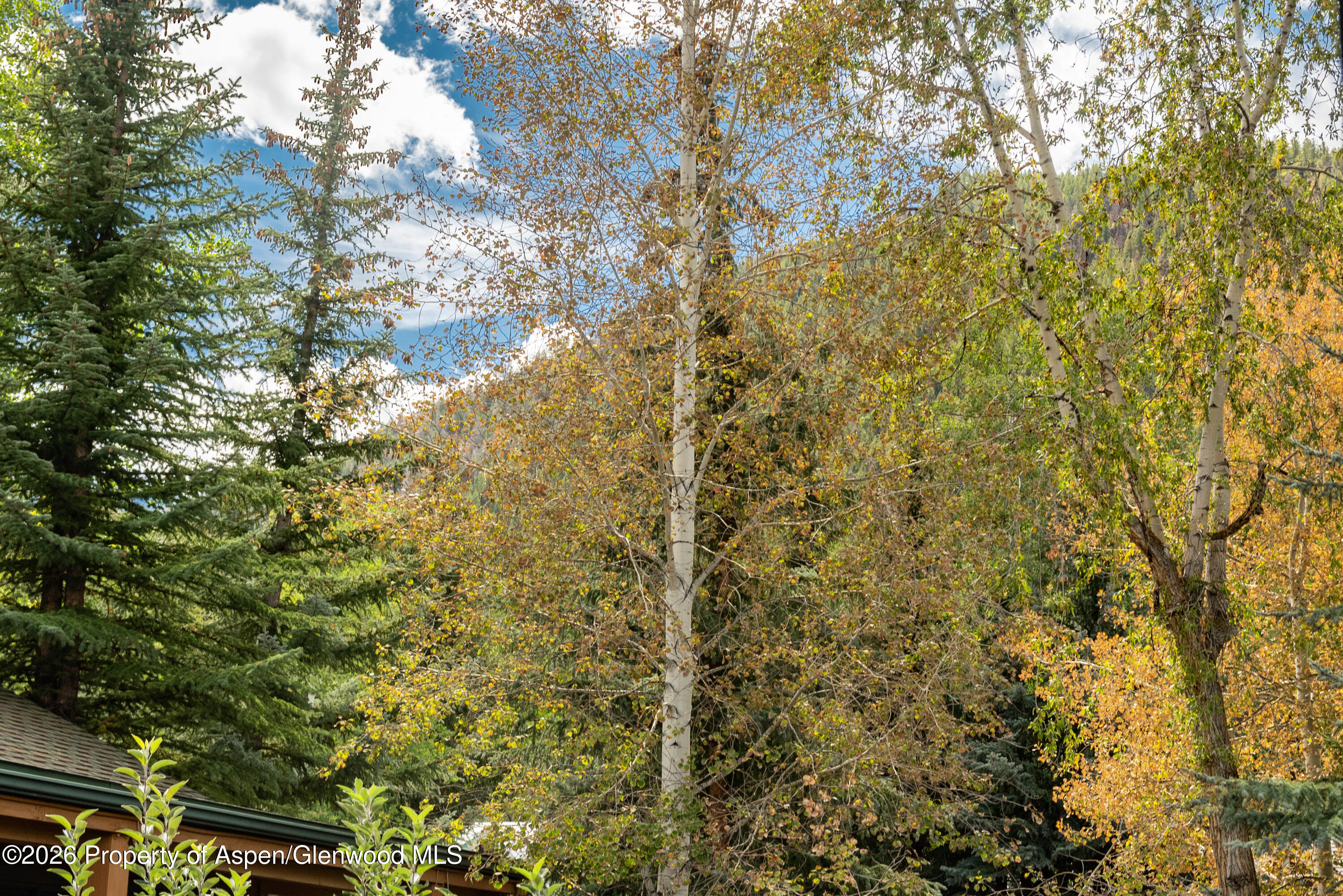 914 Waters Avenue Aspen CO 81611