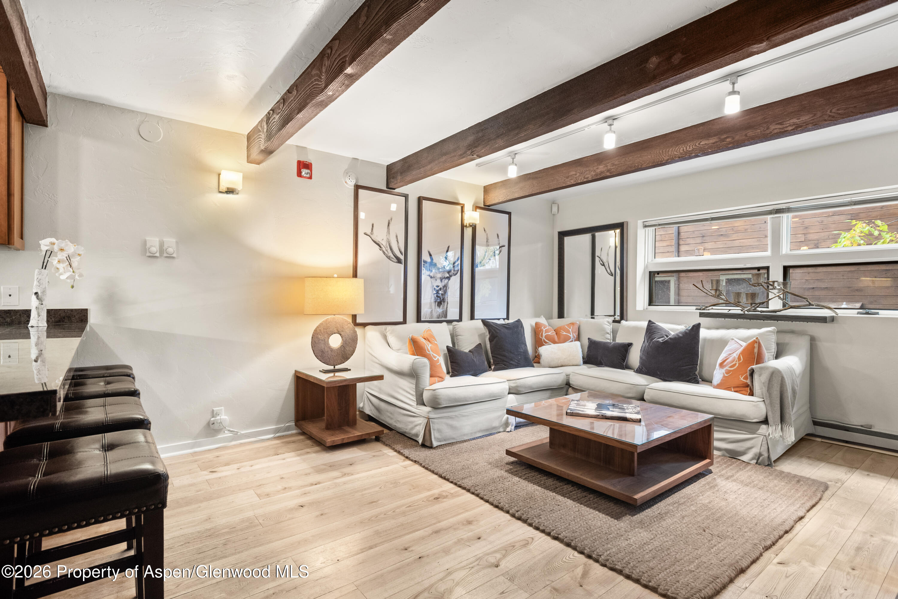 914 Waters Avenue Aspen CO 81611