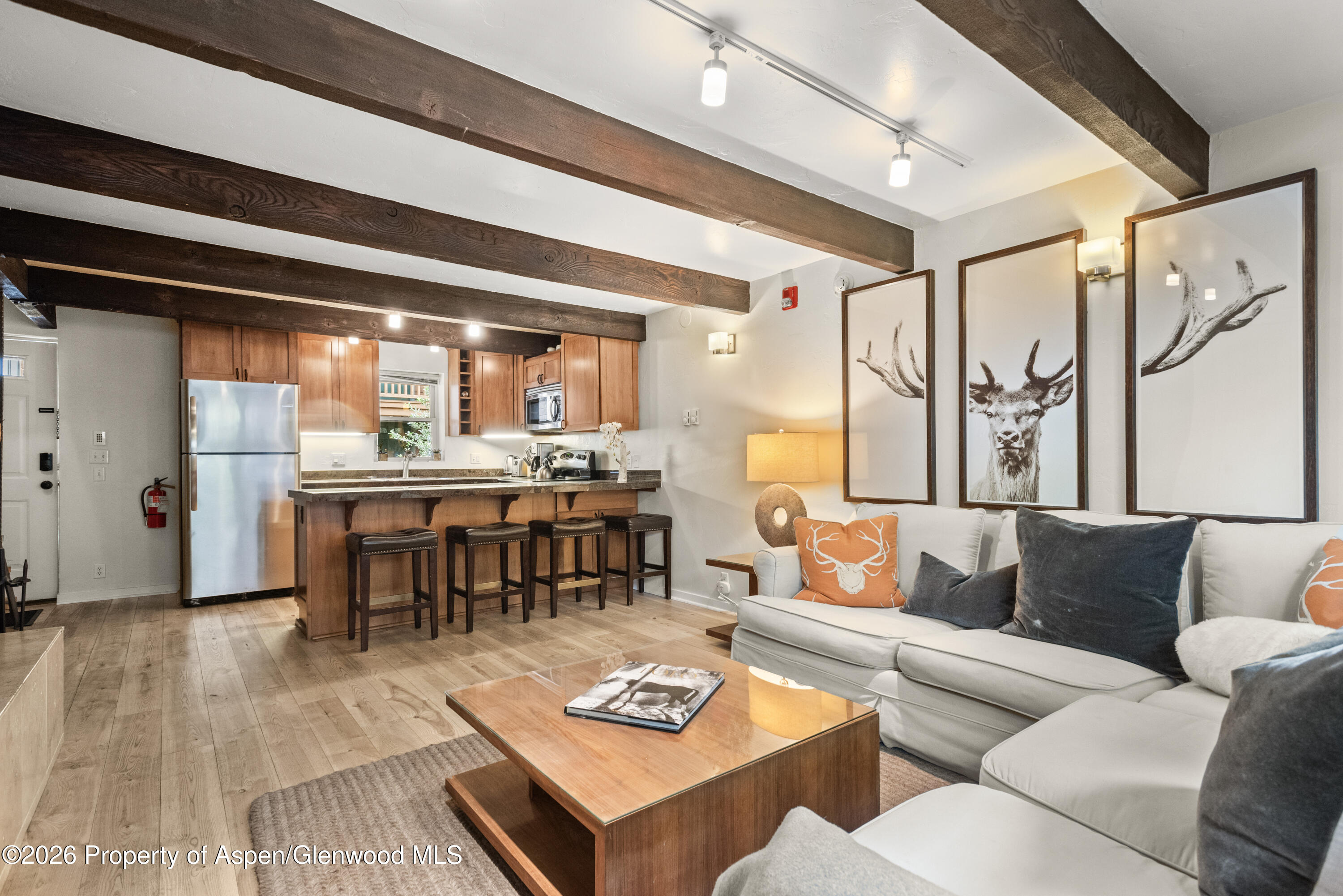 914 Waters Avenue Aspen CO 81611