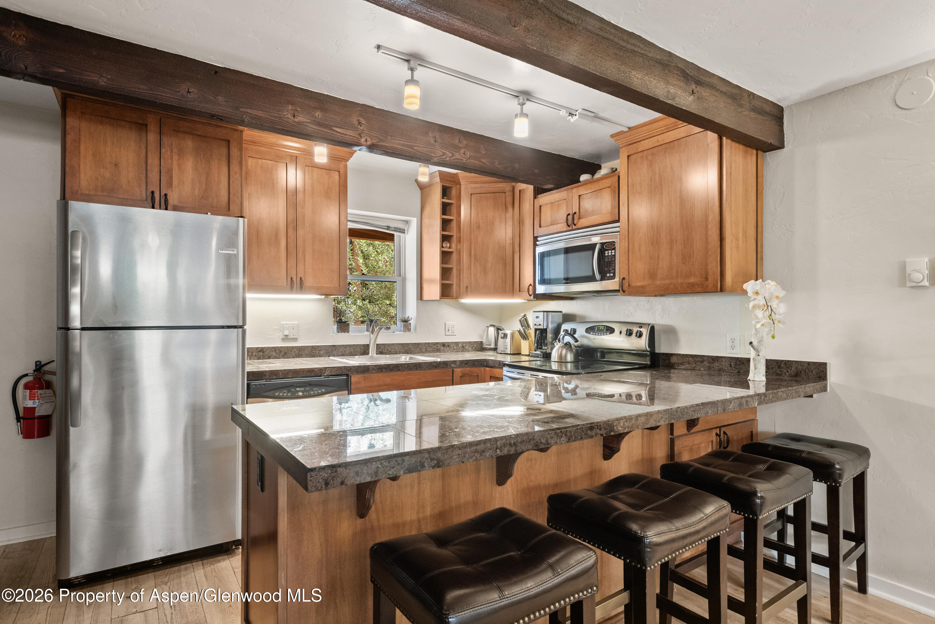 914 Waters Avenue Aspen CO 81611