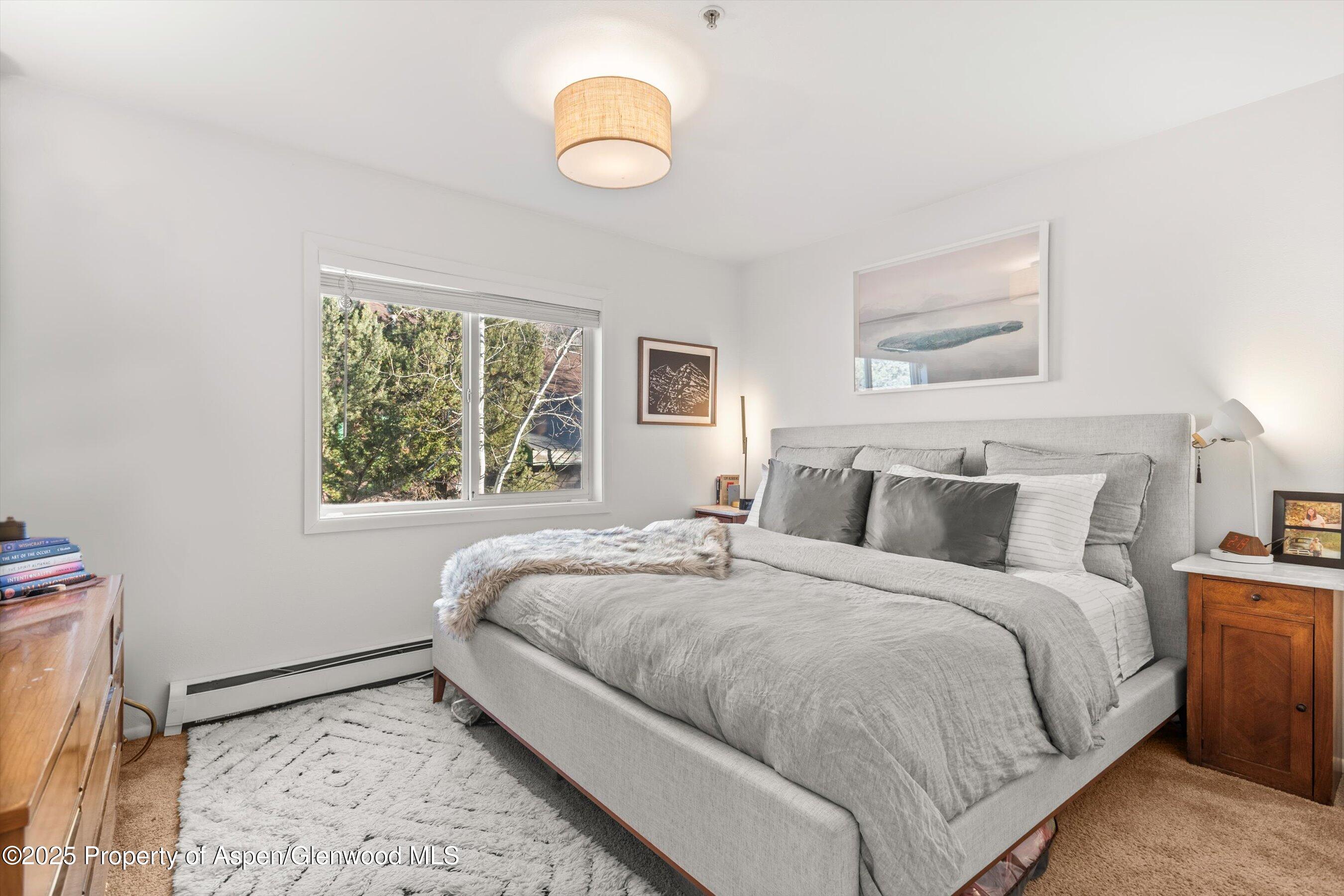 326 Midland Avenue Aspen CO 81611