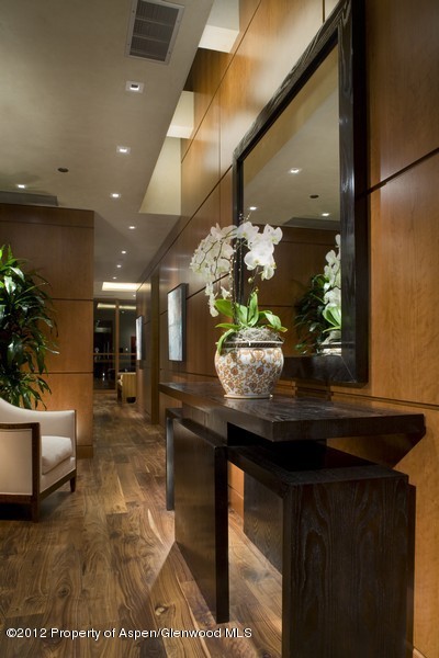 314 E Hyman Avenue Aspen CO 81611