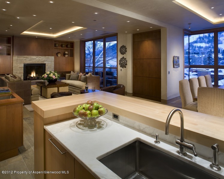 314 E Hyman Avenue Aspen CO 81611