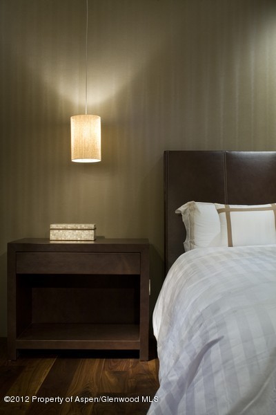 314 E Hyman Avenue Aspen CO 81611