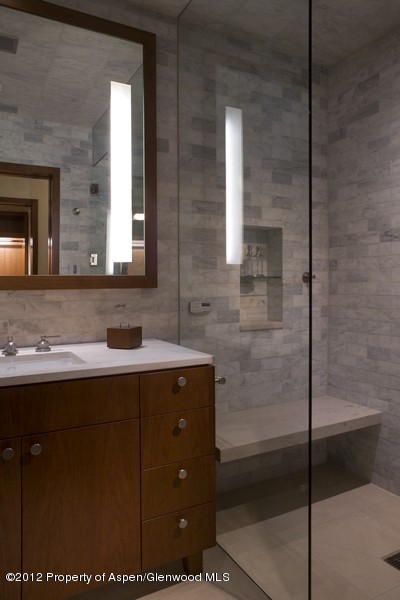 314 E Hyman Avenue Aspen CO 81611