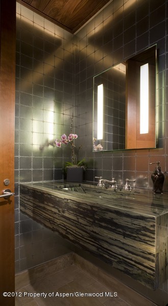 314 E Hyman Avenue Aspen CO 81611