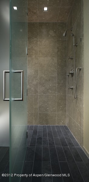 314 E Hyman Avenue Aspen CO 81611