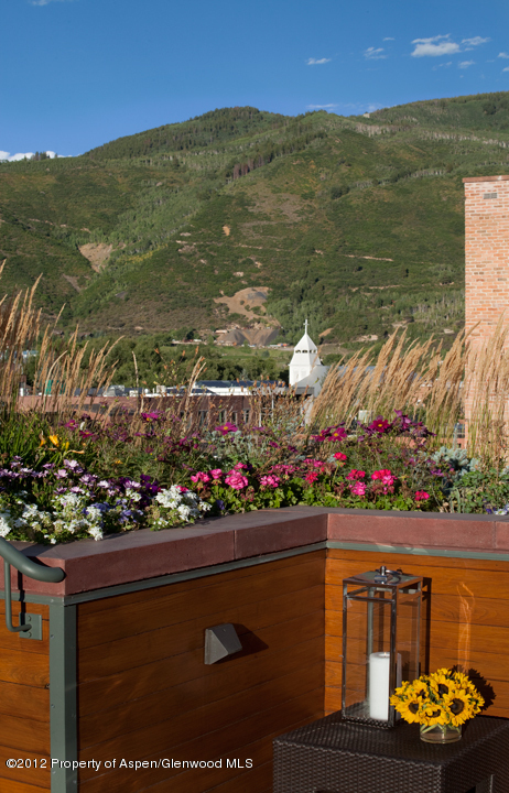 314 E Hyman Avenue Aspen CO 81611