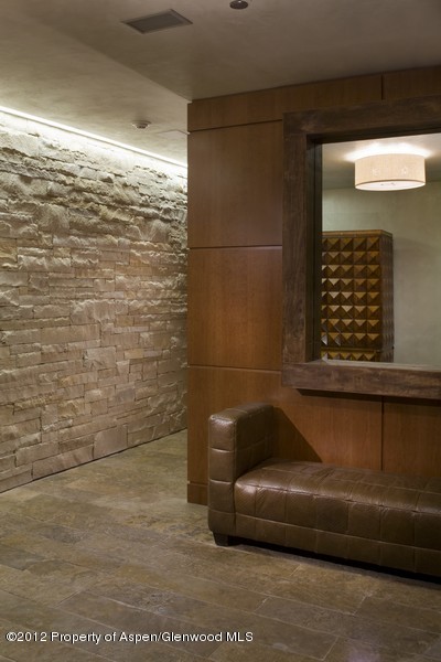 314 E Hyman Avenue Aspen CO 81611