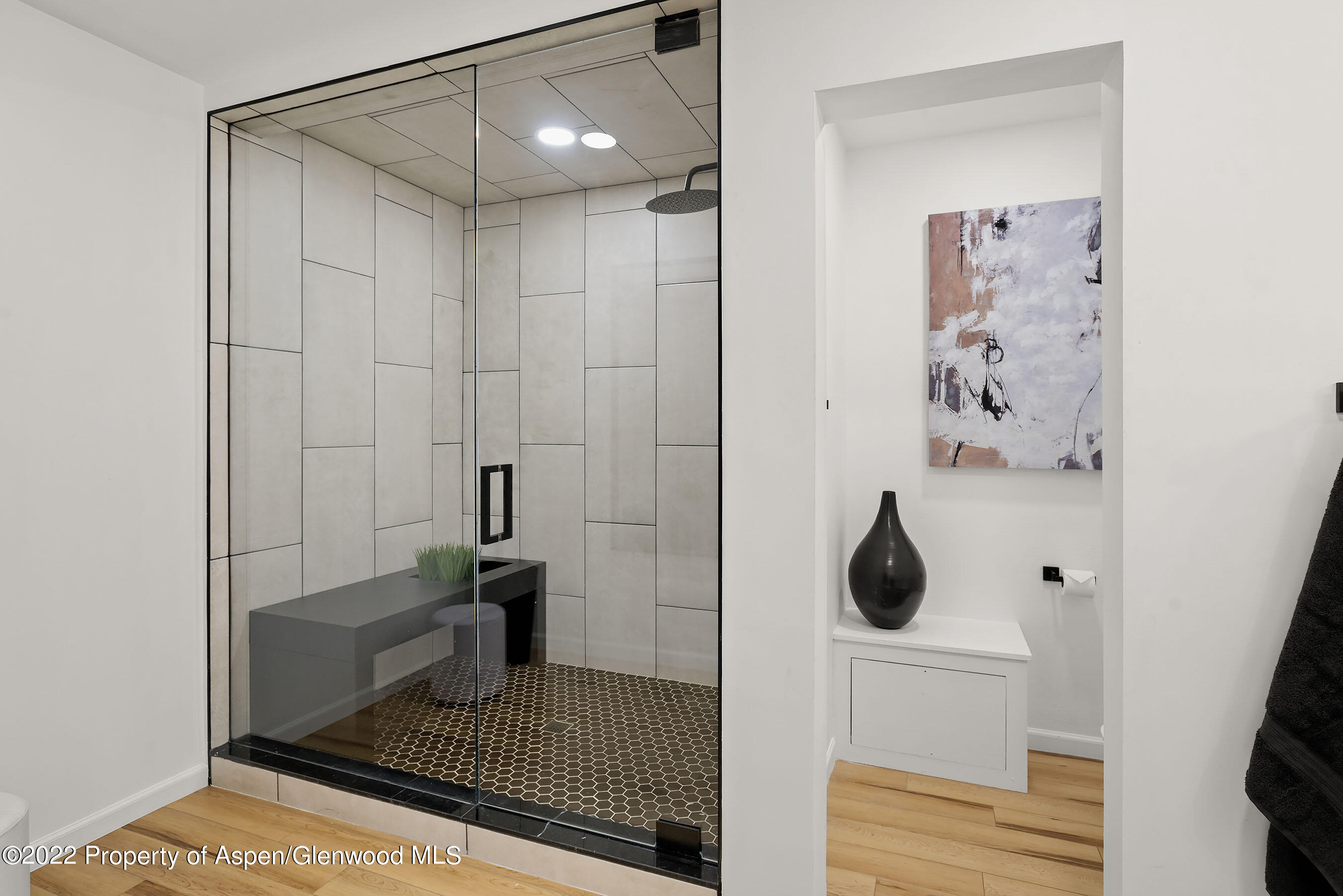 107 Aspen Mountain Road Aspen CO 81611