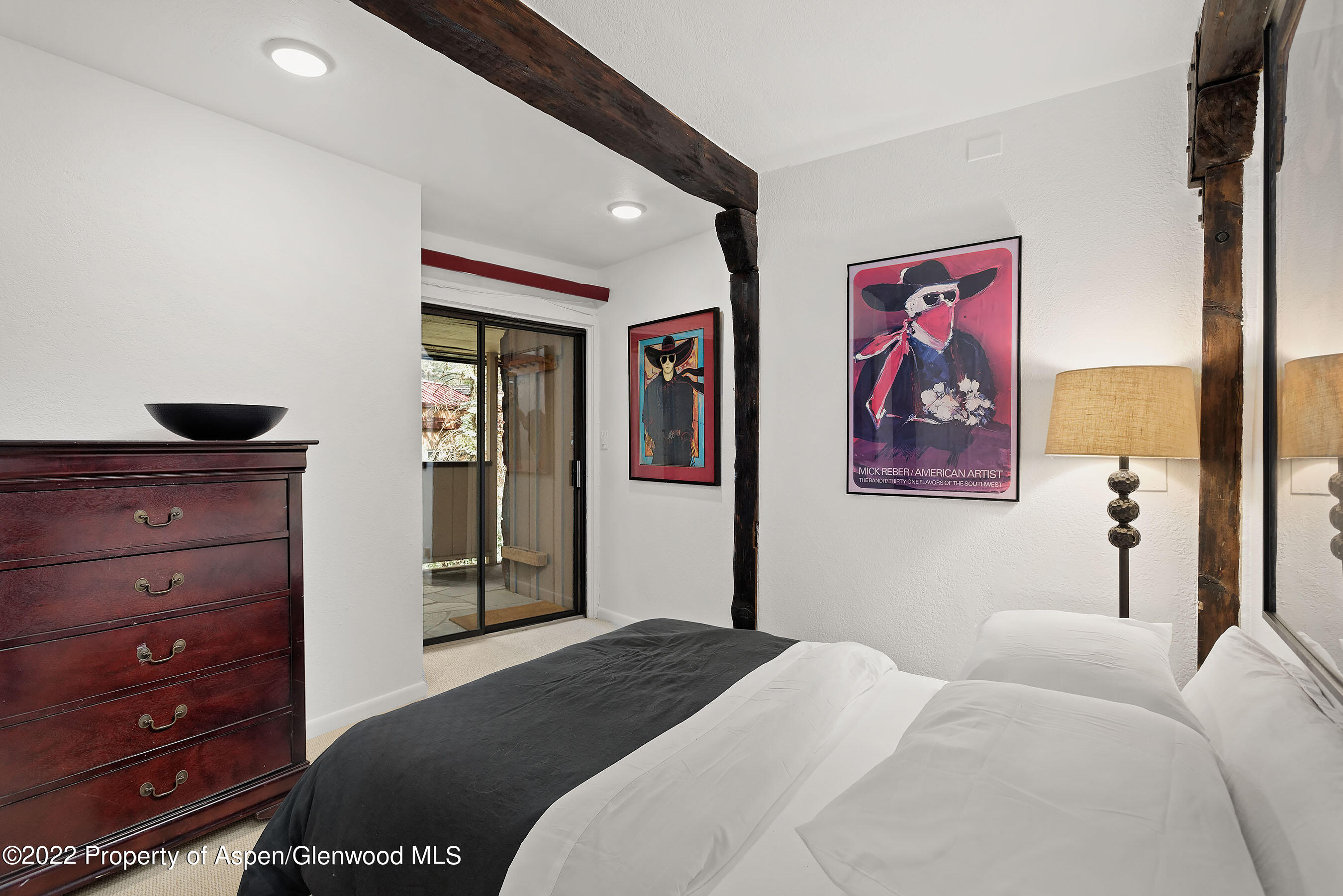 107 Aspen Mountain Road Aspen CO 81611