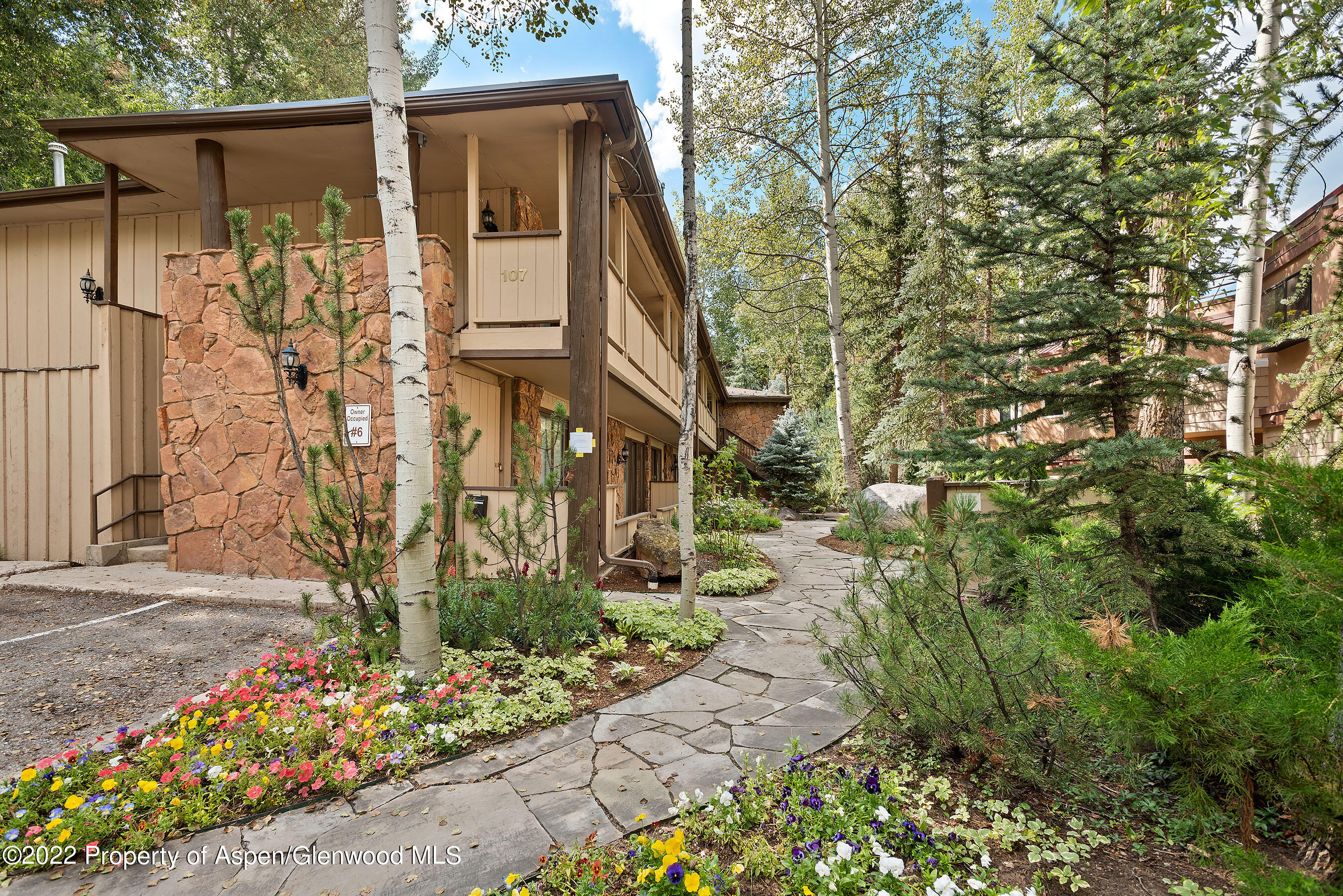 107 Aspen Mountain Road Aspen CO 81611