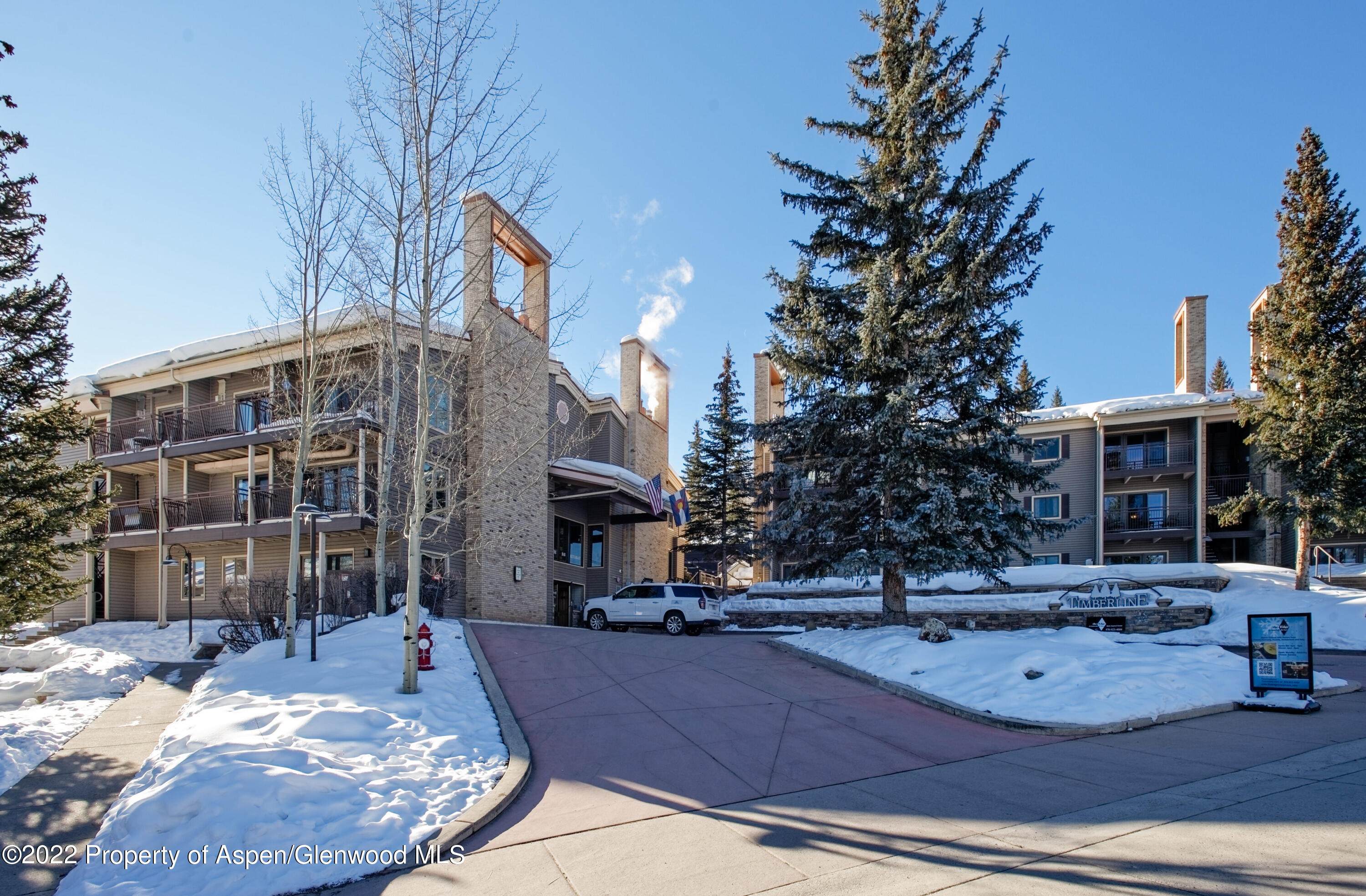 690 Carriage Way Snowmass Village CO 81615