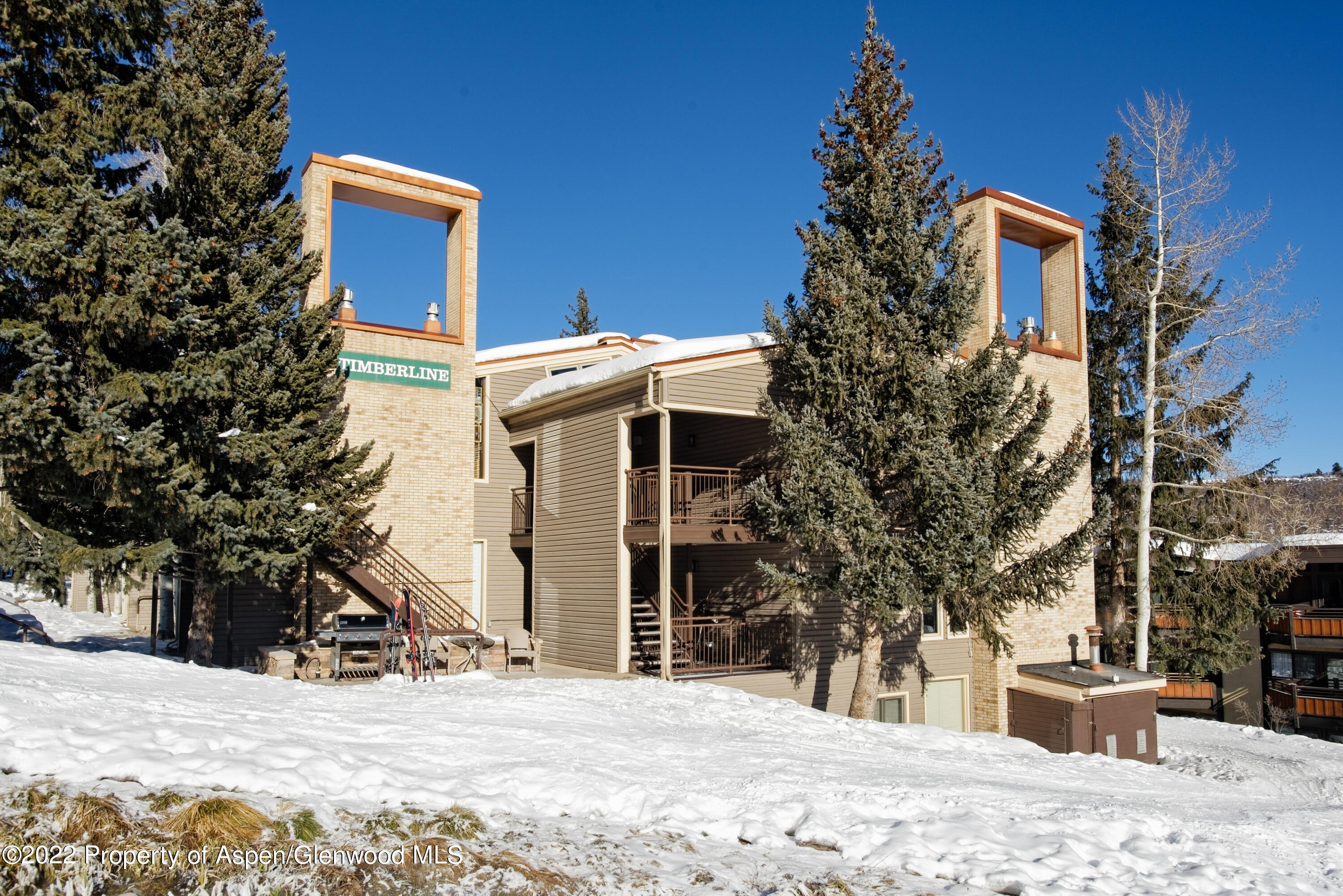 690 Carriage Way Snowmass Village CO 81615