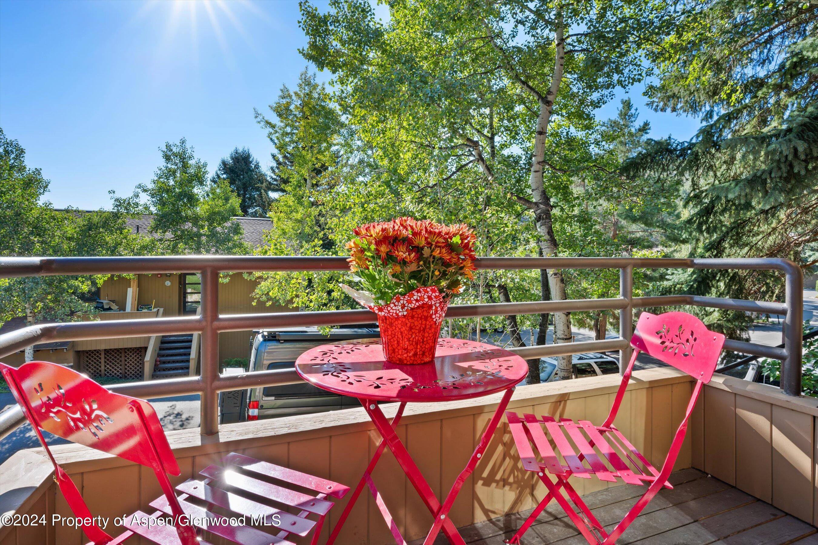 35 Lower Woodbridge Road Snowmass Village CO 81615