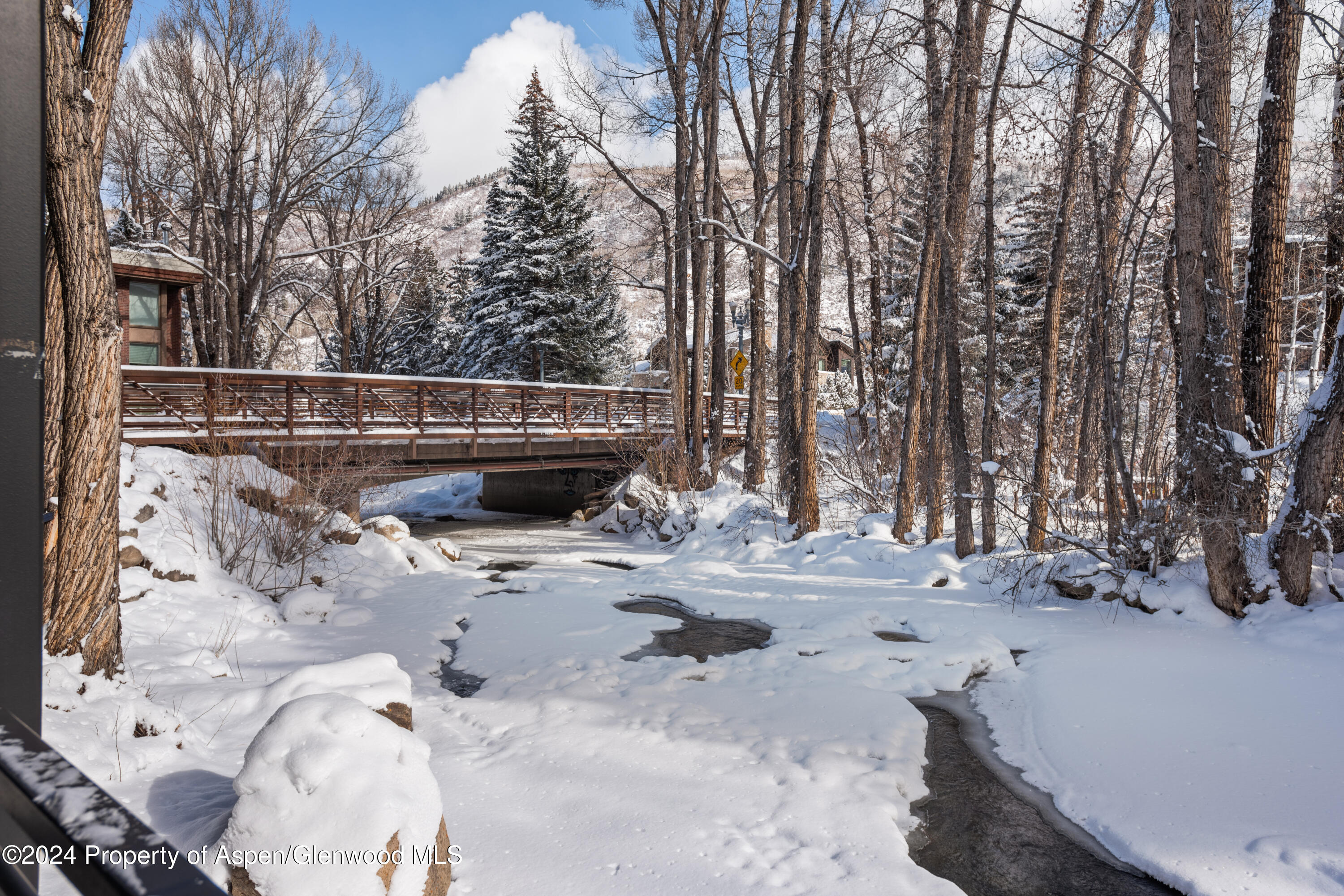 1039 E Cooper Avenue Aspen CO 81611