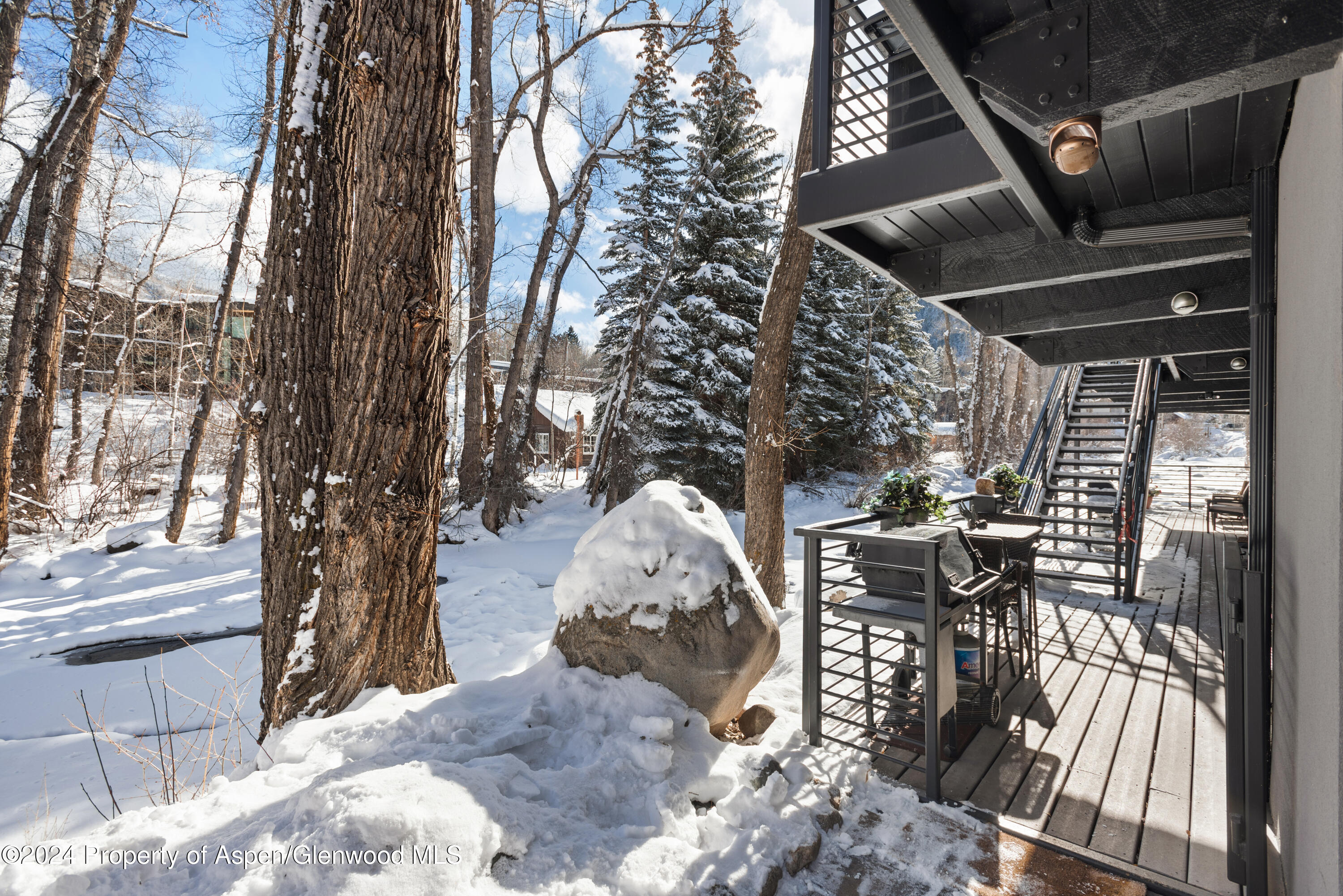 1039 E Cooper Avenue Aspen CO 81611