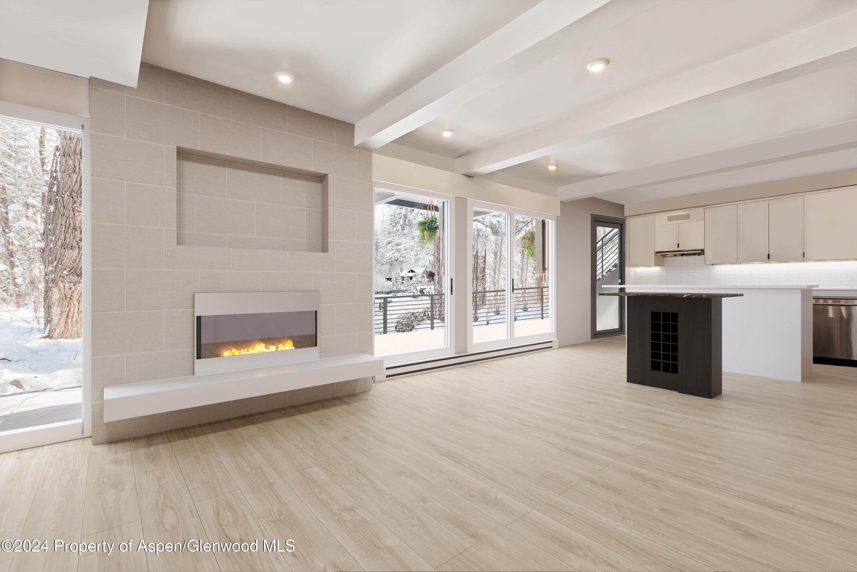 1039 E Cooper Avenue Aspen CO 81611