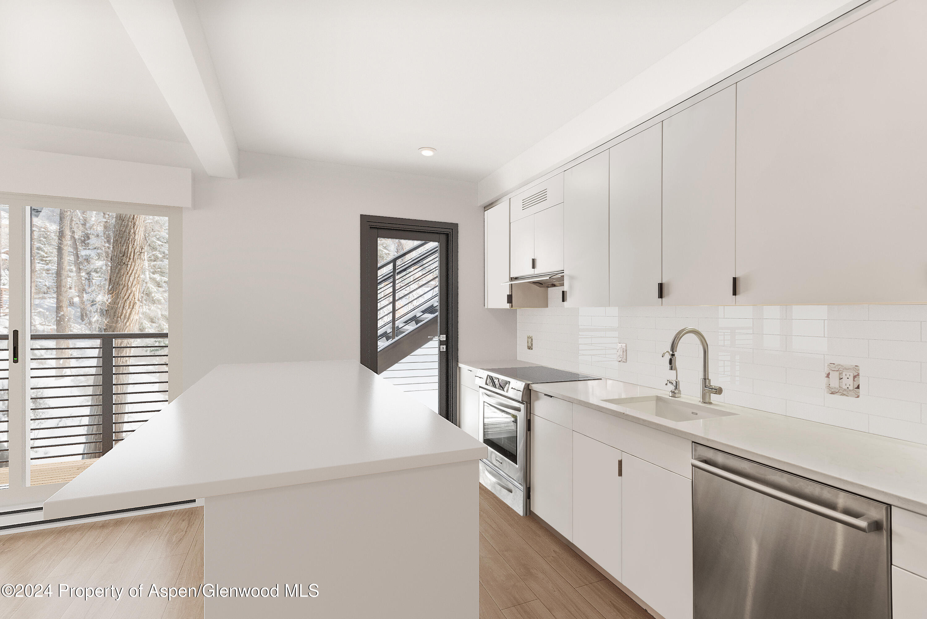 1039 E Cooper Avenue Aspen CO 81611