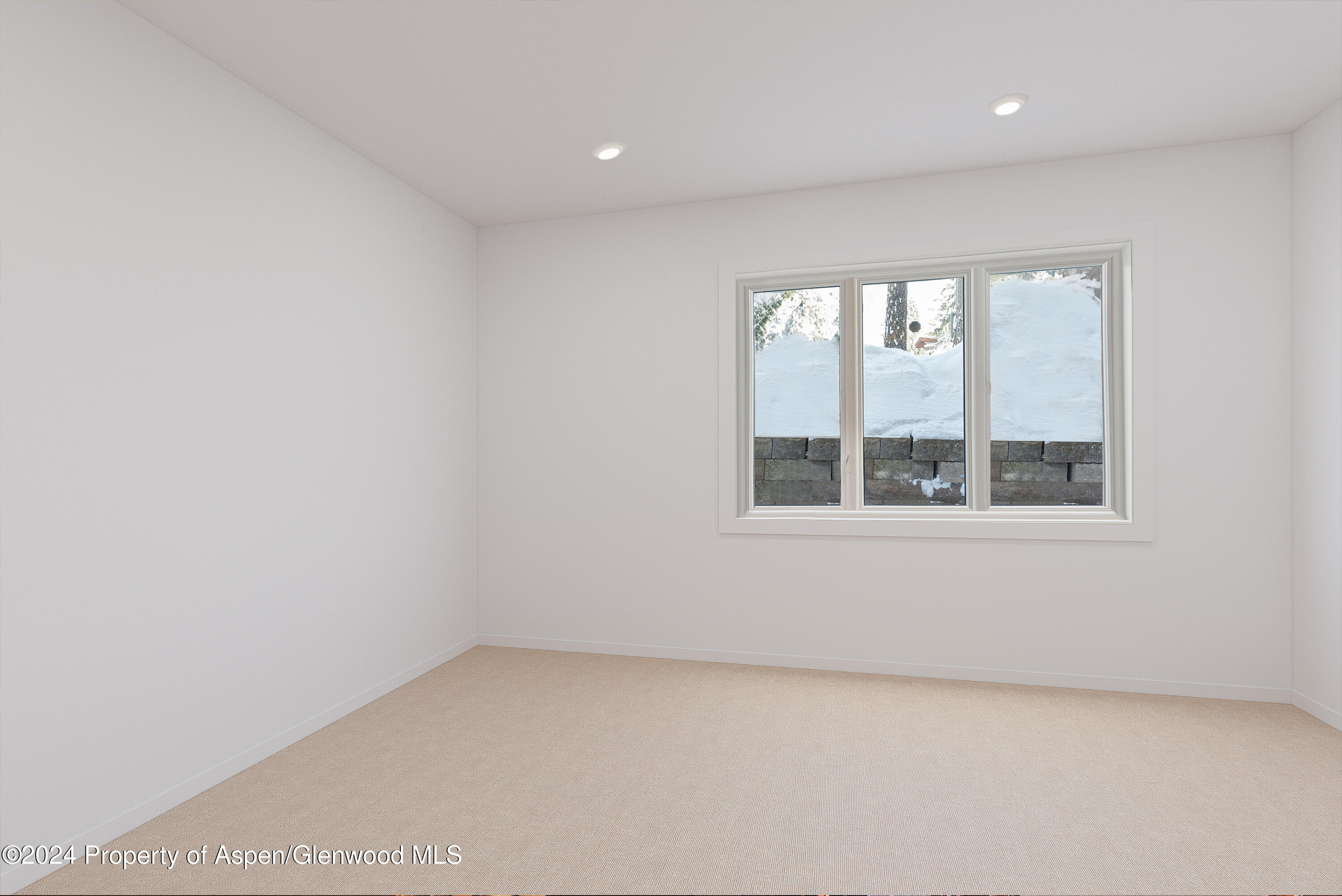 1039 E Cooper Avenue Aspen CO 81611